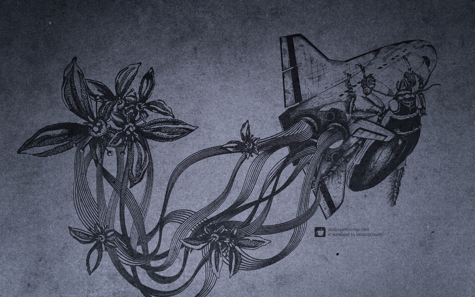 Абстракции для Apple обои