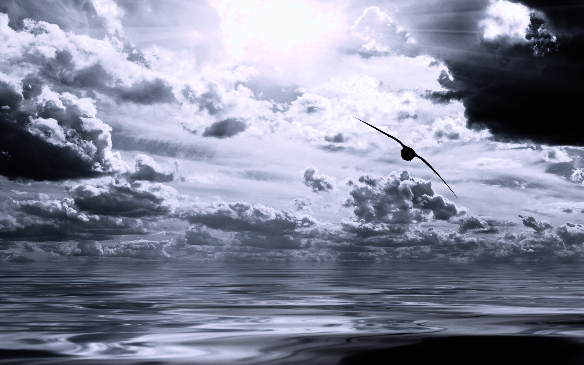 Лети как птица над волнами обои