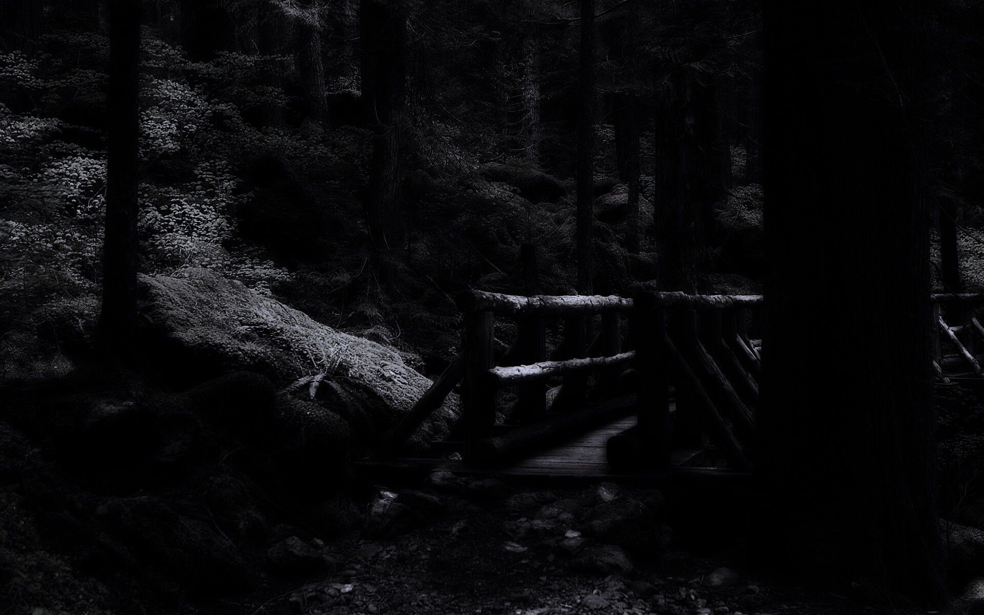 Бревенчатый мост в лесу обои