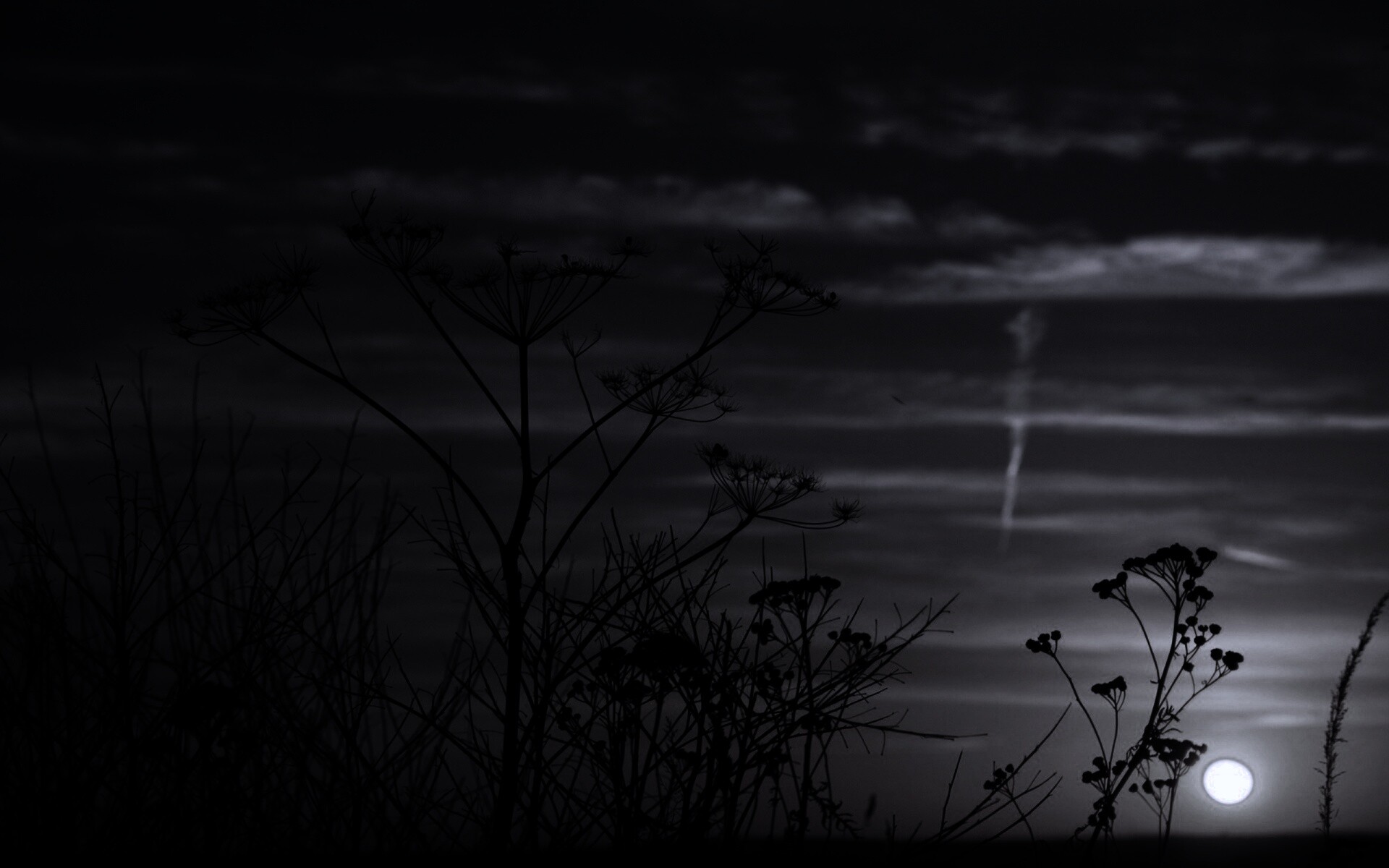 Степной закат обои