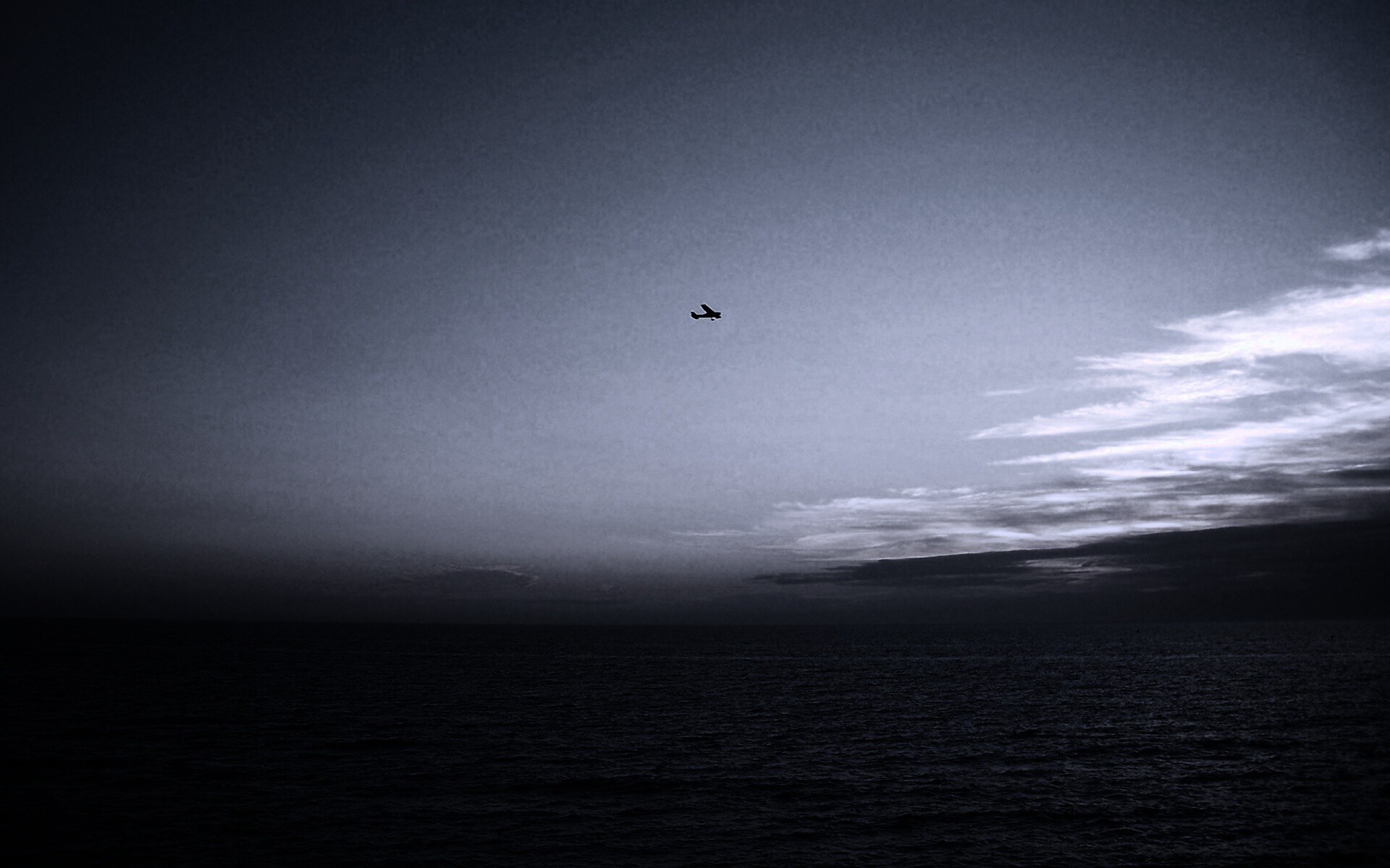 Паращий над морем обои