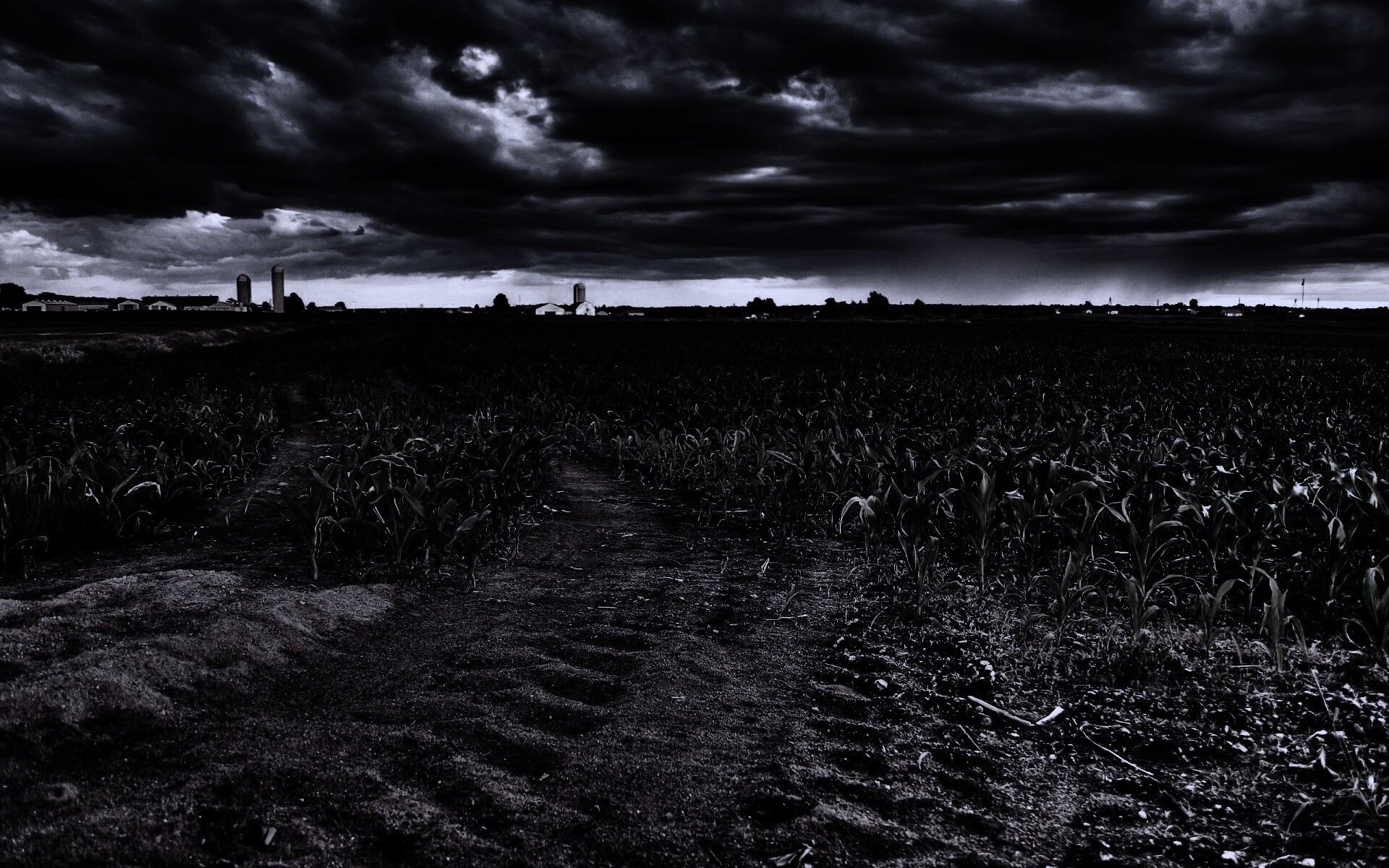 Кукурузное поле у фермы обои