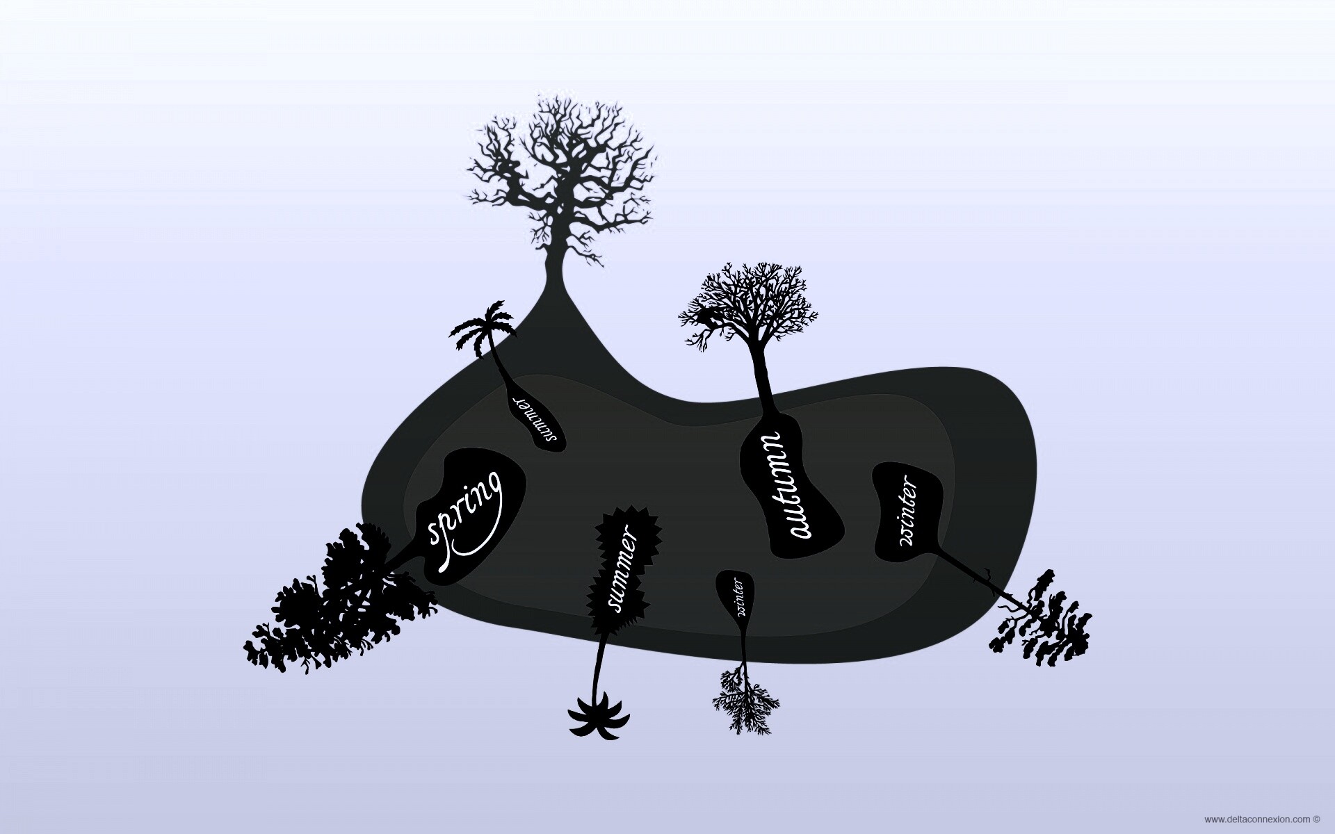 Деревья времен года обои