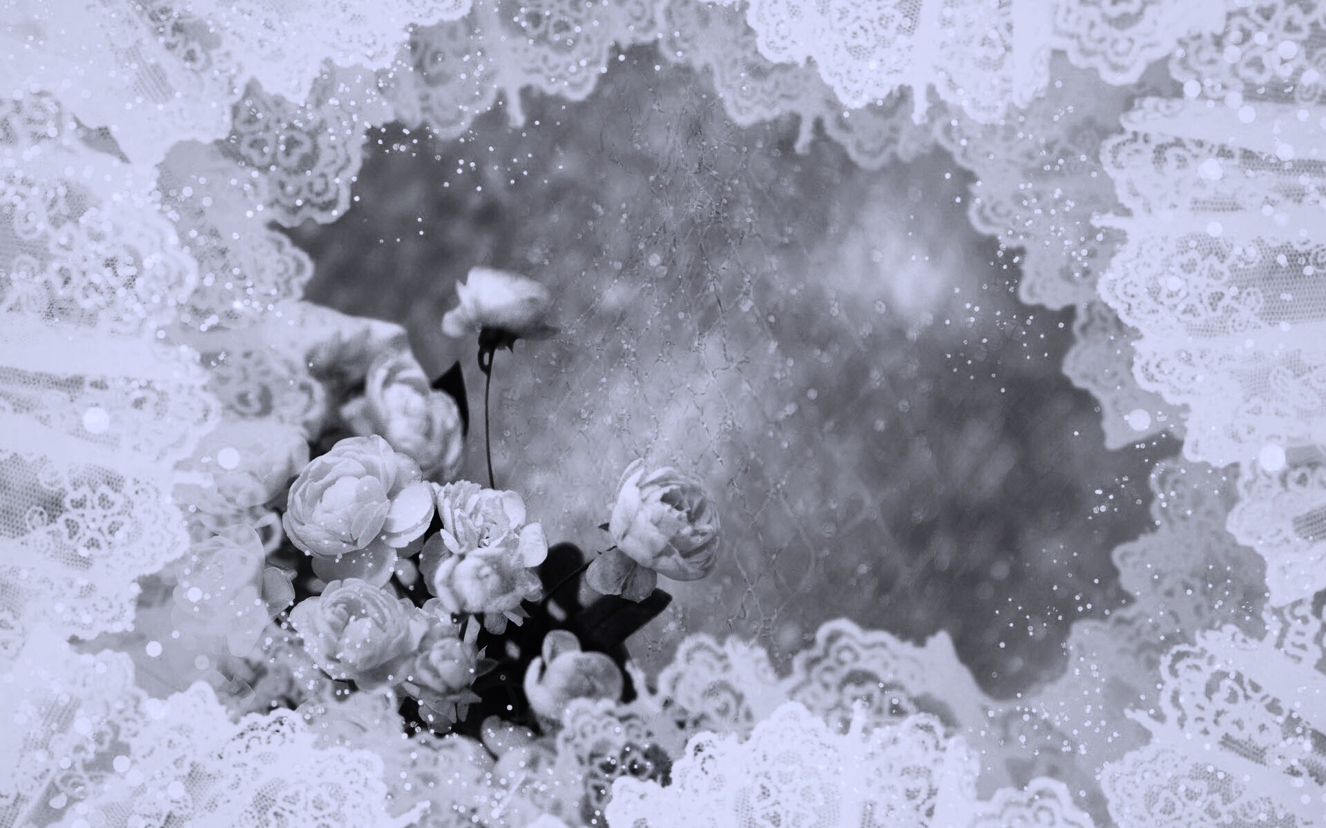 Бежевые кружева и розы обои