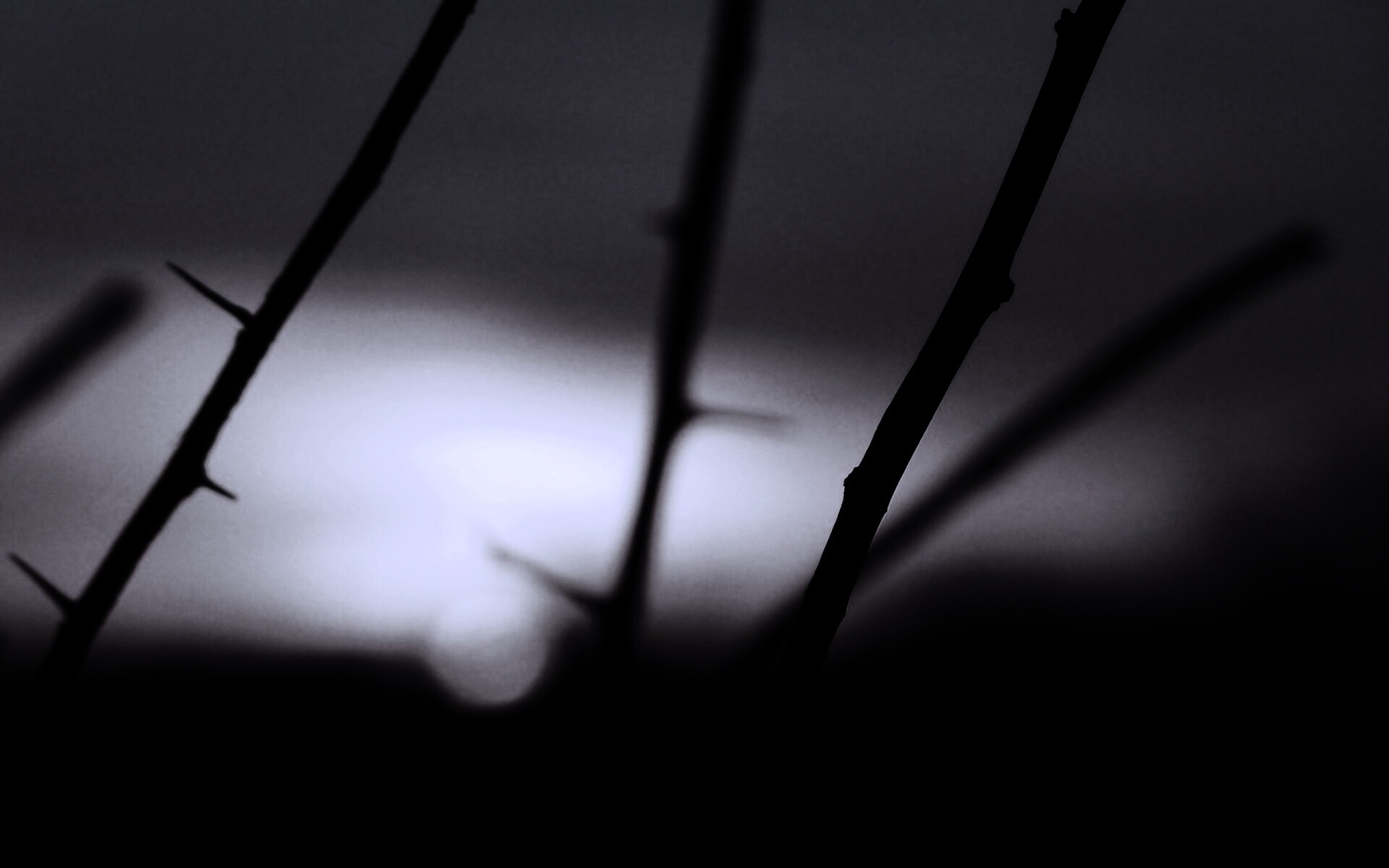 Закат солнца в поле обои