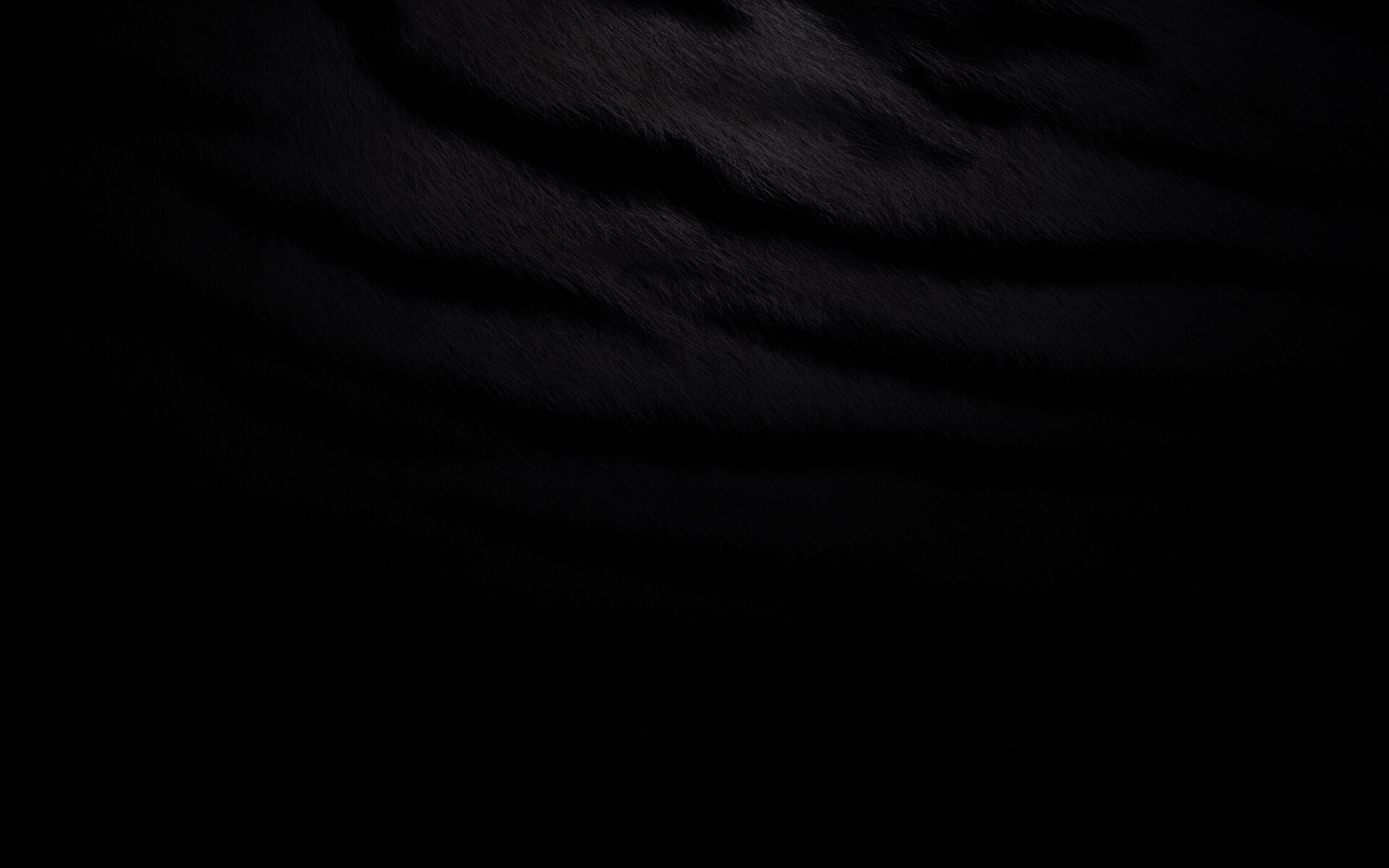 Тигриная шкура обои