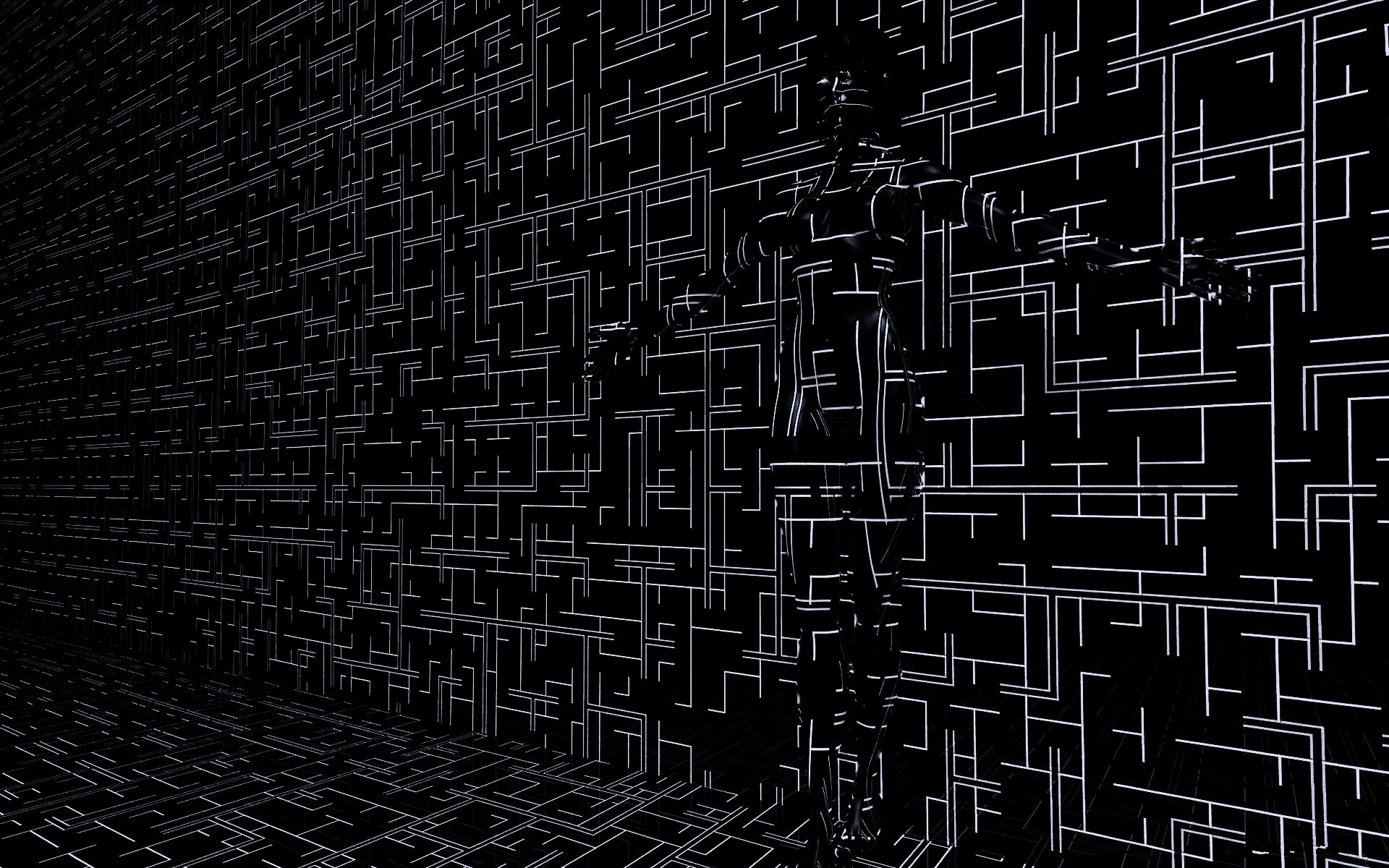 Невидимка обои