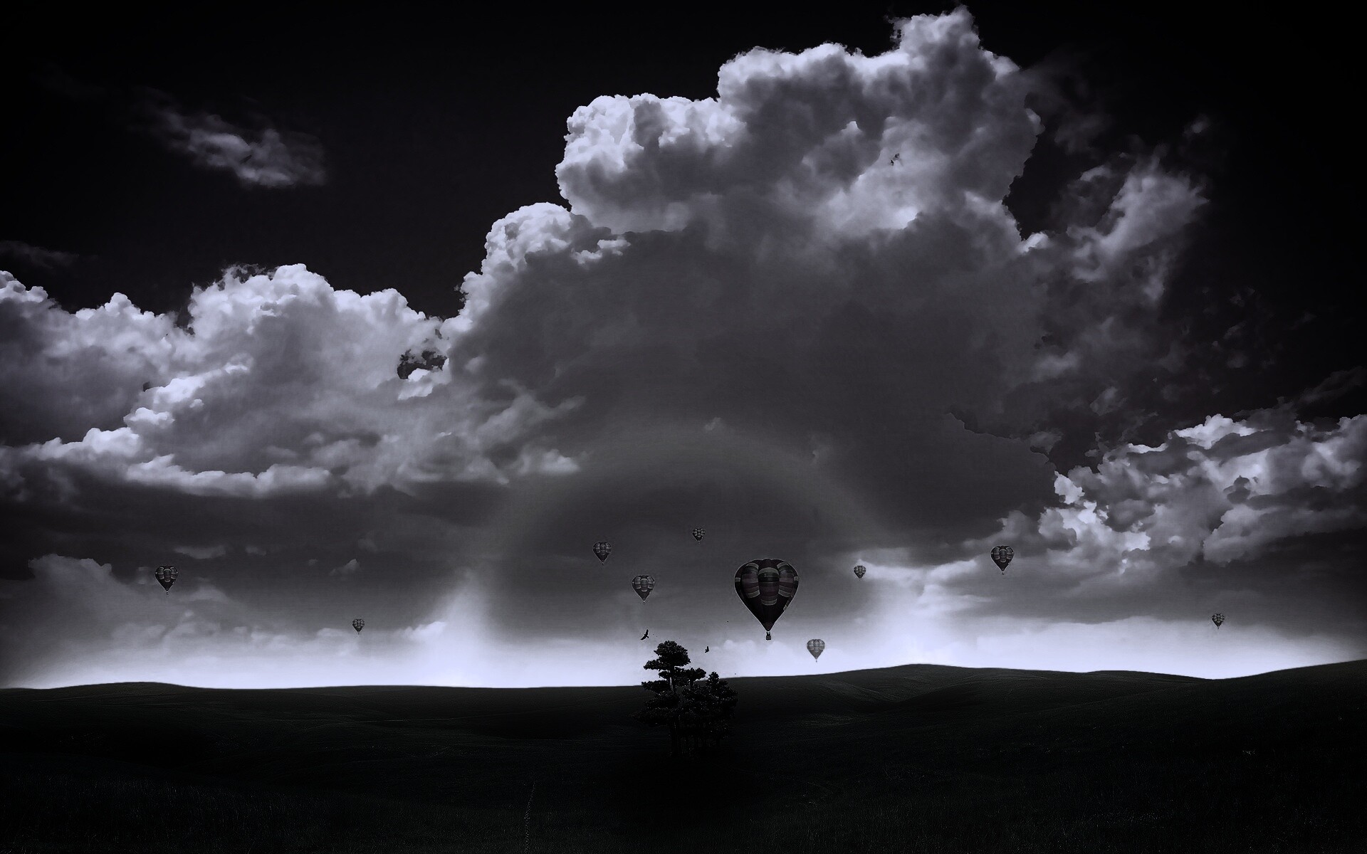 Мечты о полёте обои