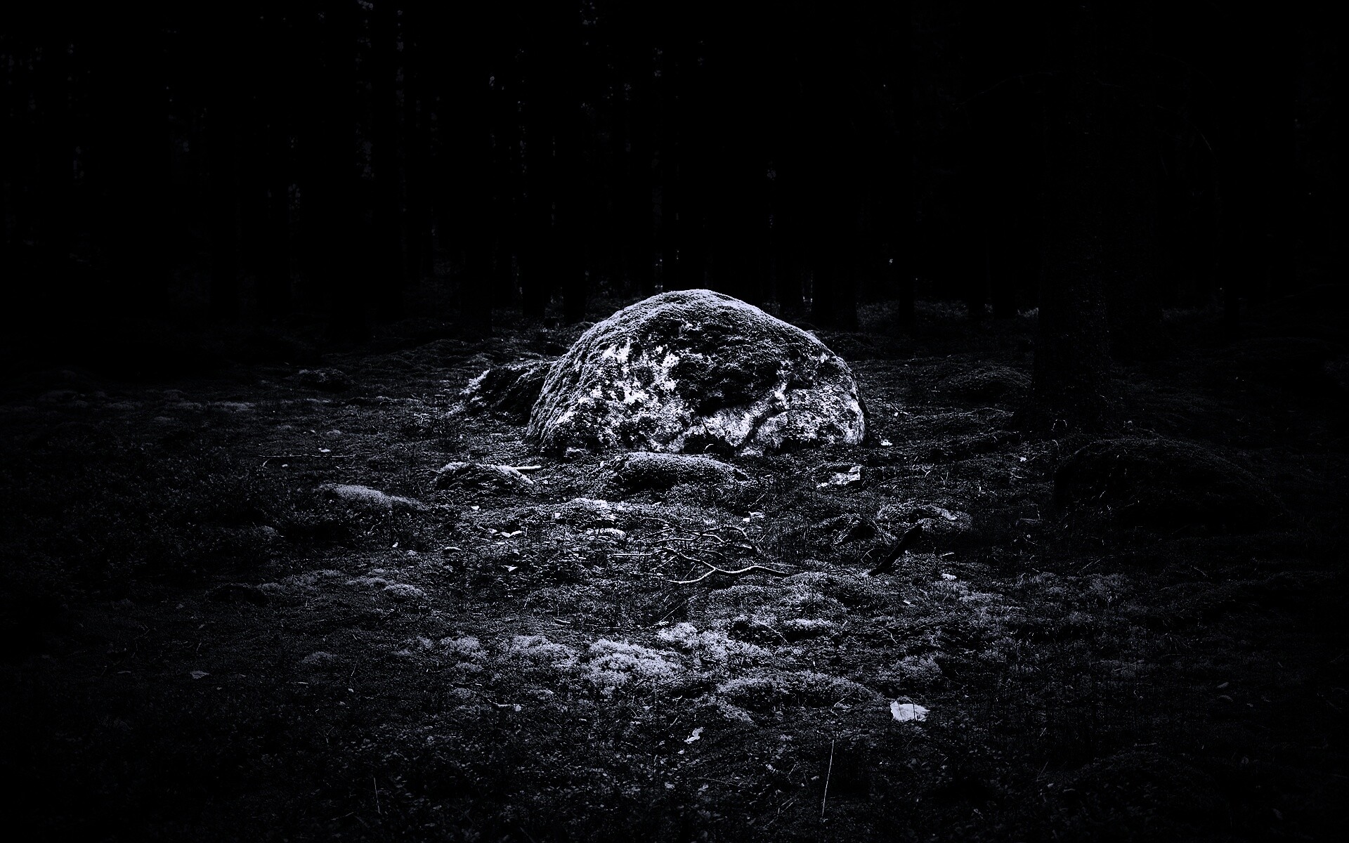 Лесная опушка обои