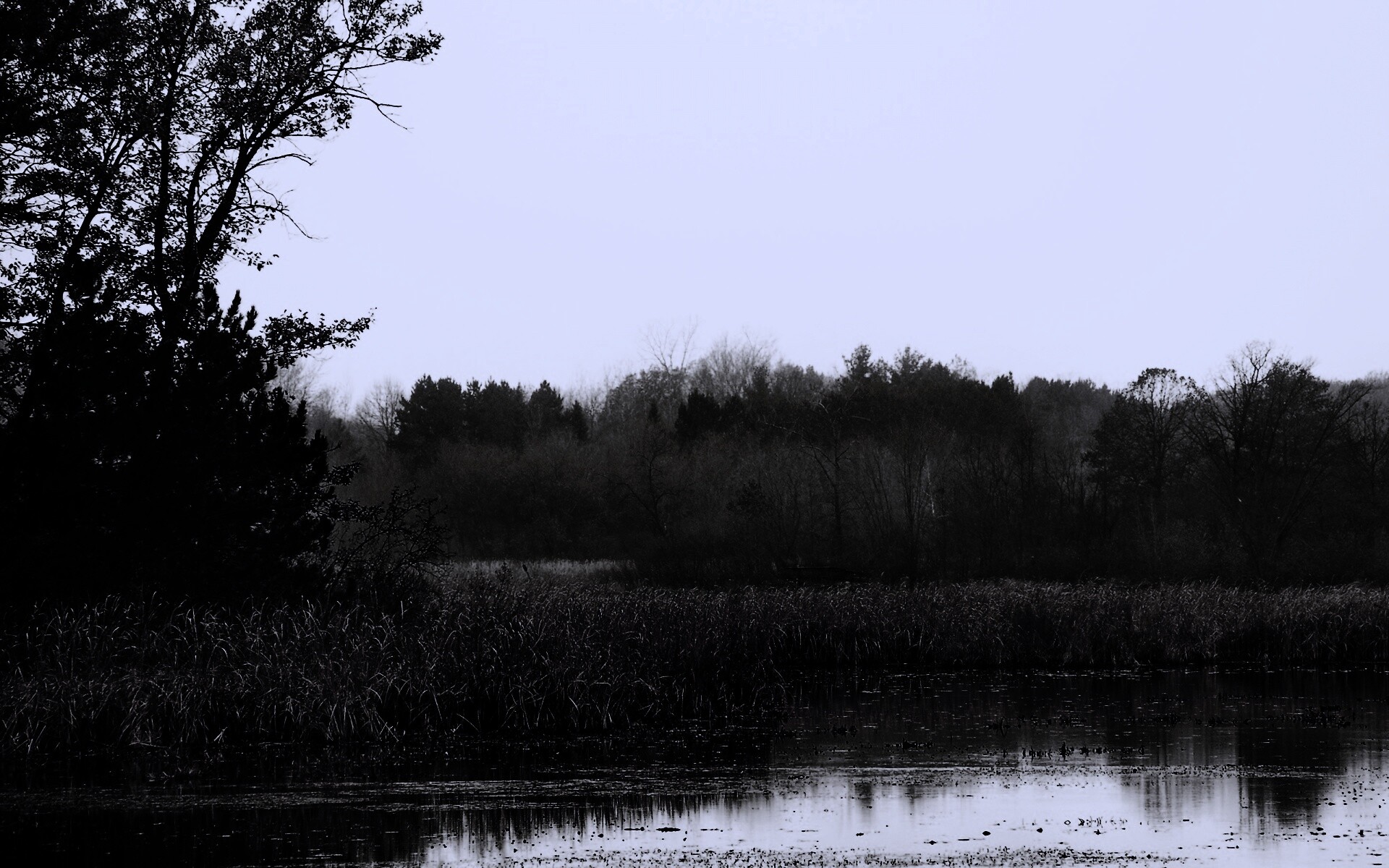 Живописные болота обои