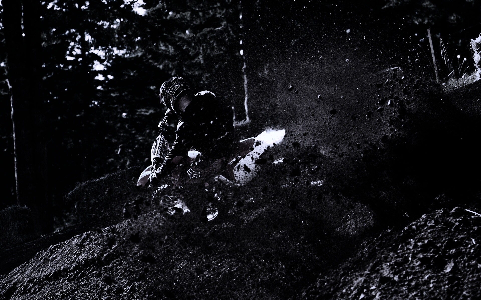 Моторалли обои