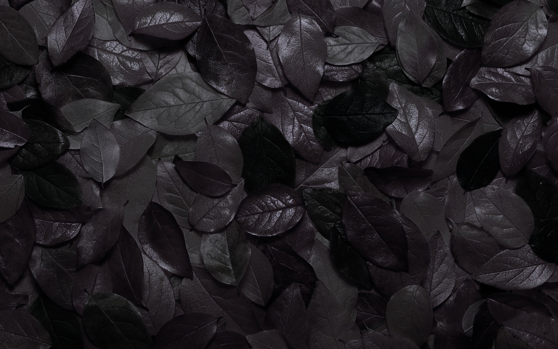 Цветной ковёр из листьев обои