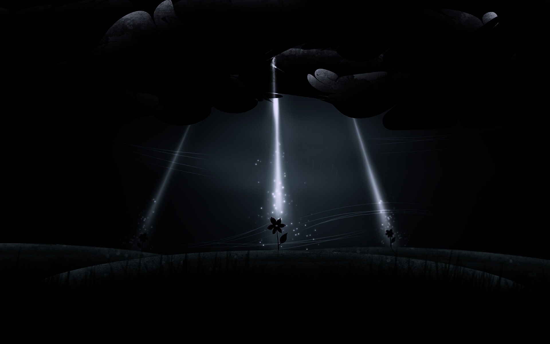 Свет для цветов обои