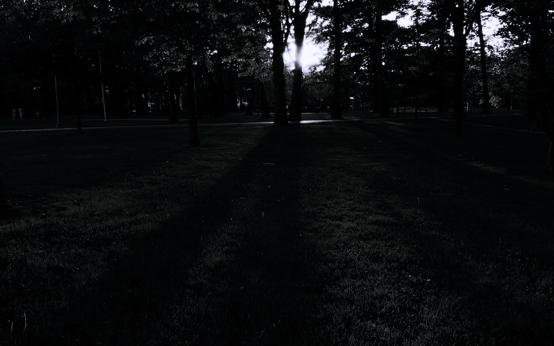 Лучи солнца сквозь листву деревьев обои