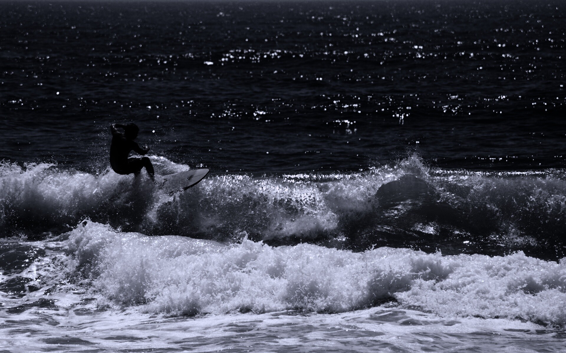 Сёрфенгист поймал волну обои