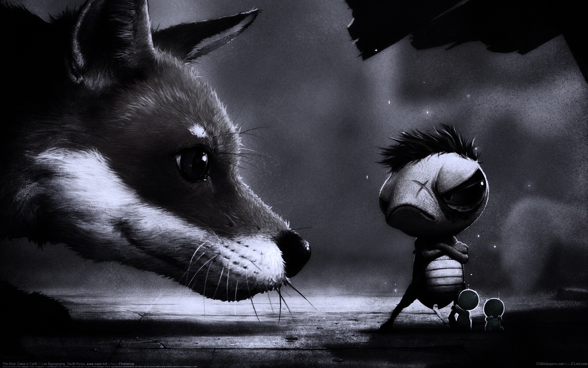 Лиса и жук обои