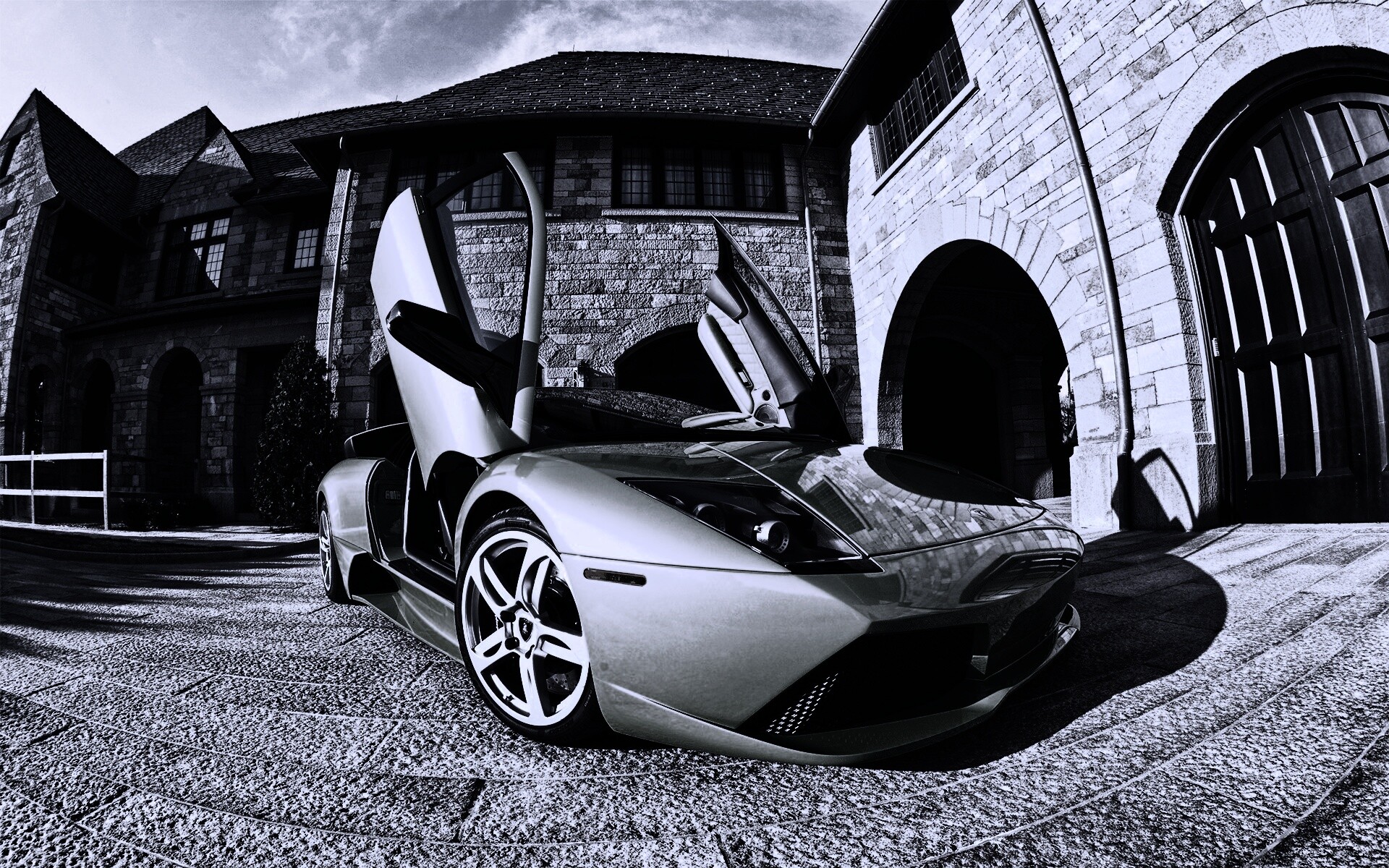 Зеленая ламба обои