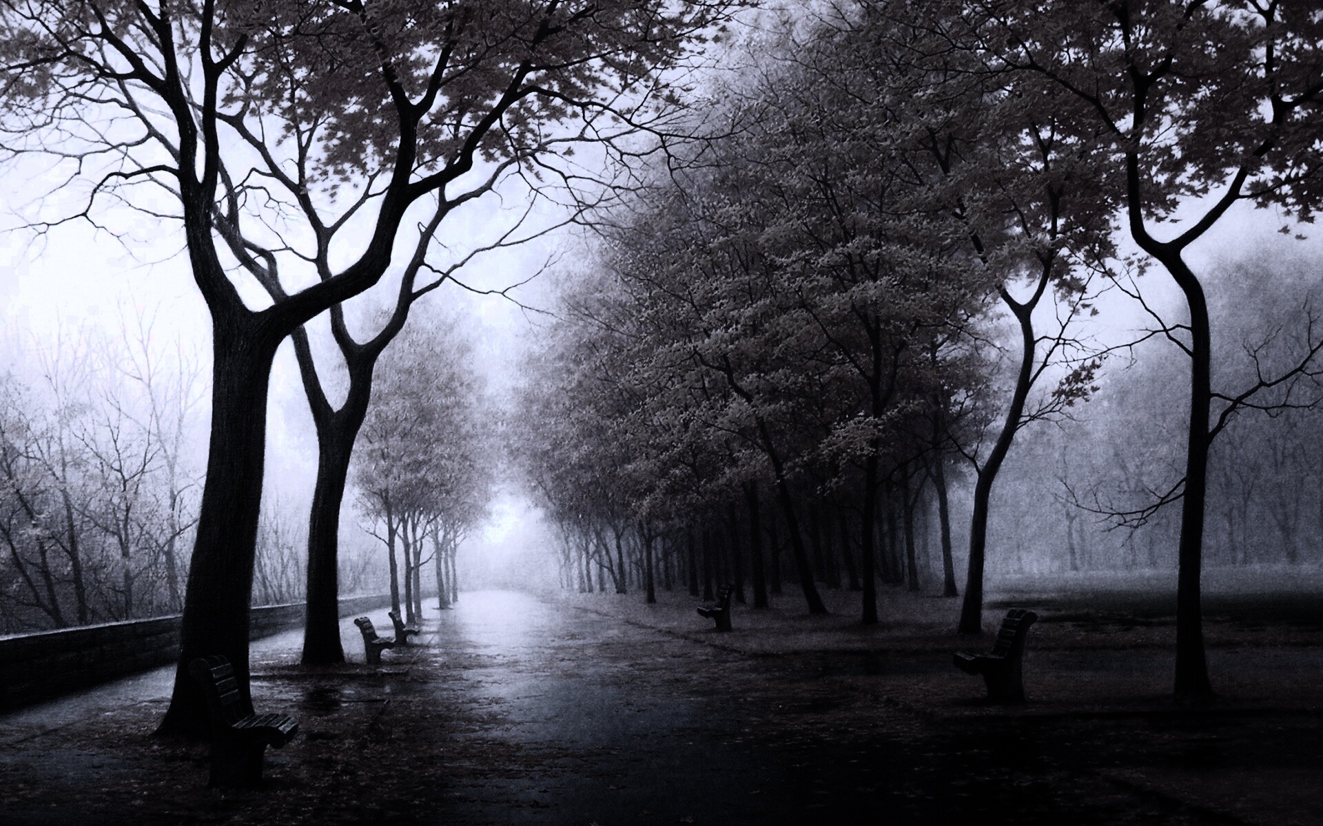 Дорога в осень обои