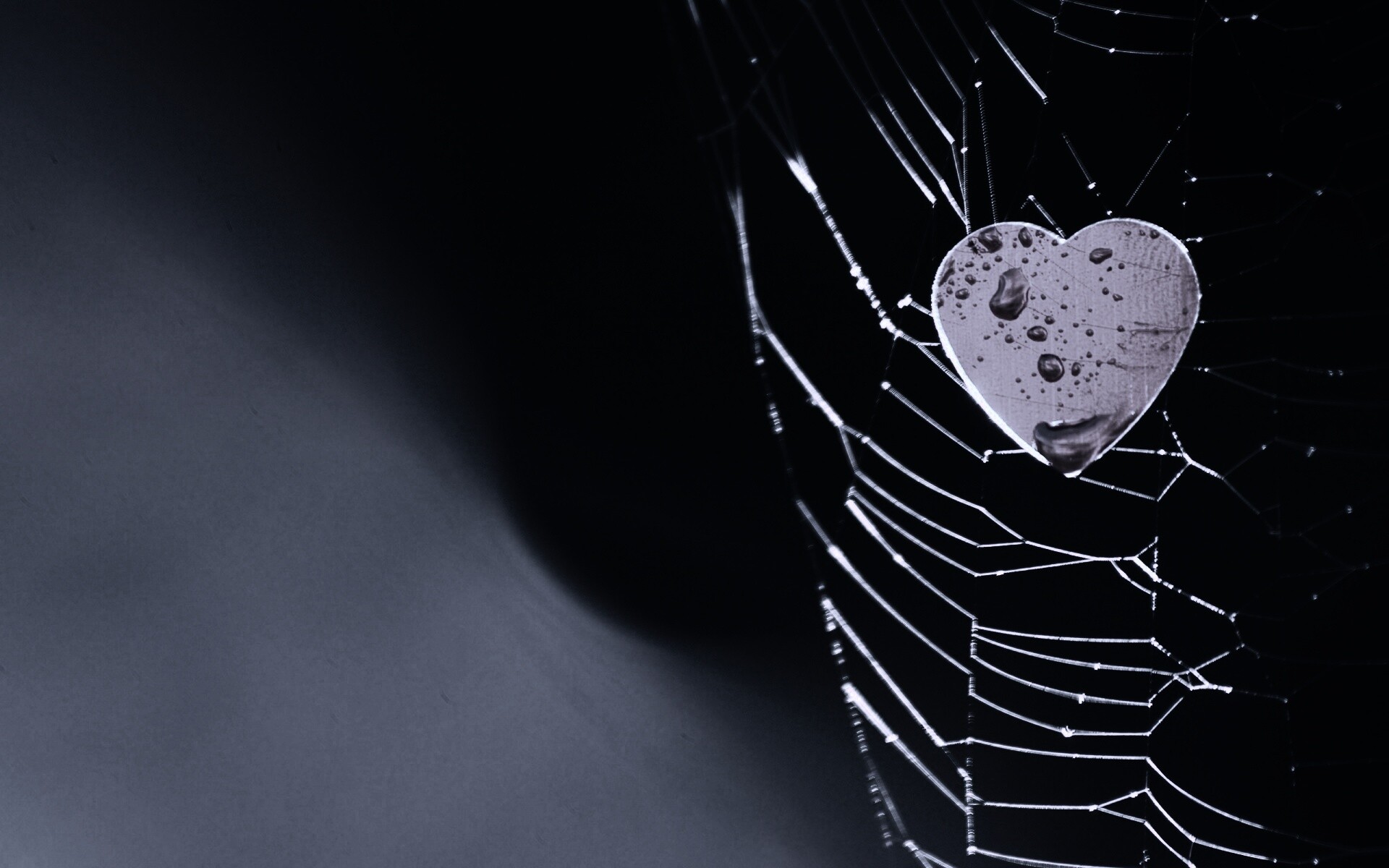 Сердце в паутине обои