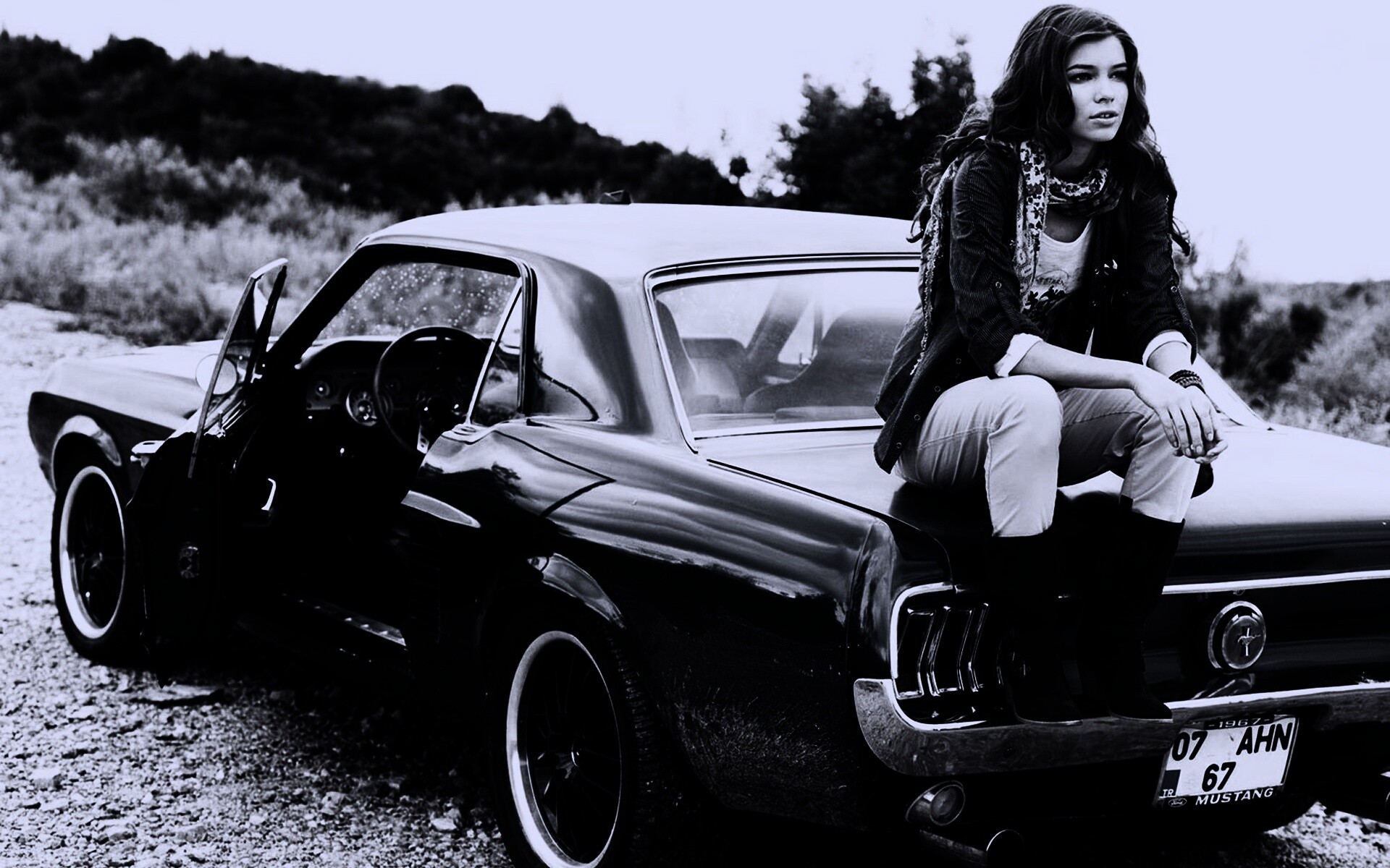 Девушка на мустанге обои