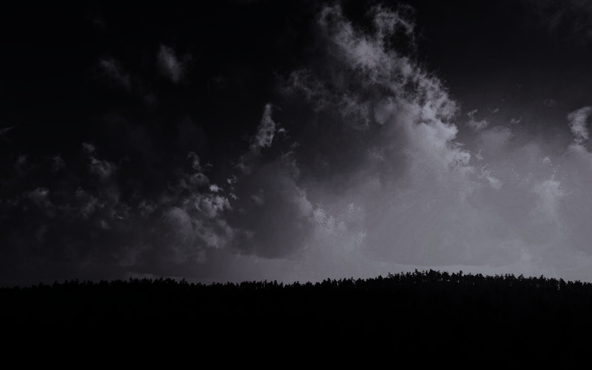 Закат над лесом обои