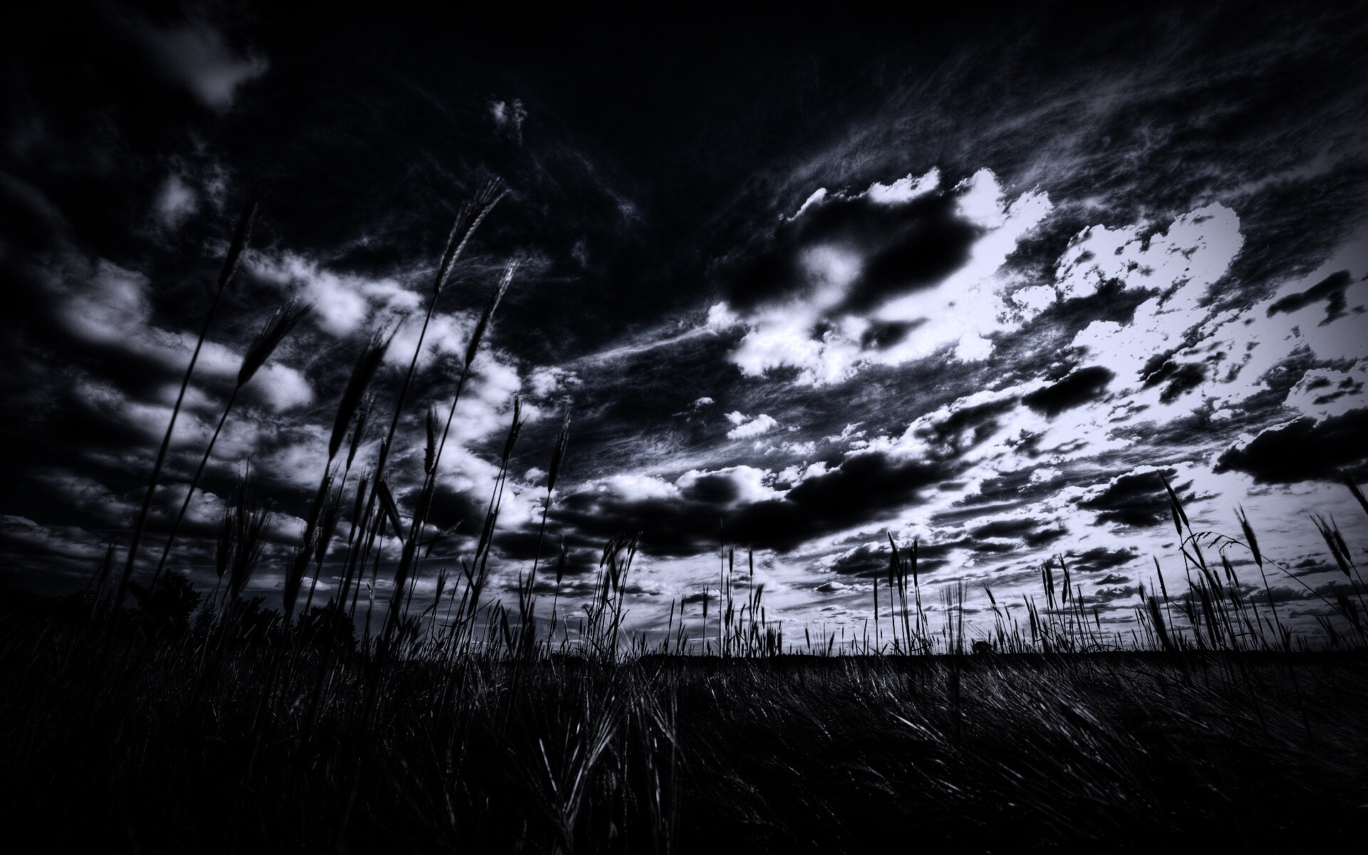 HDR Поле обои