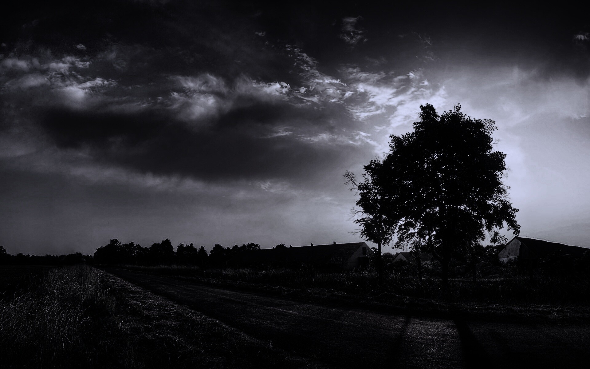 Закат на фоне дерева в HDR обои