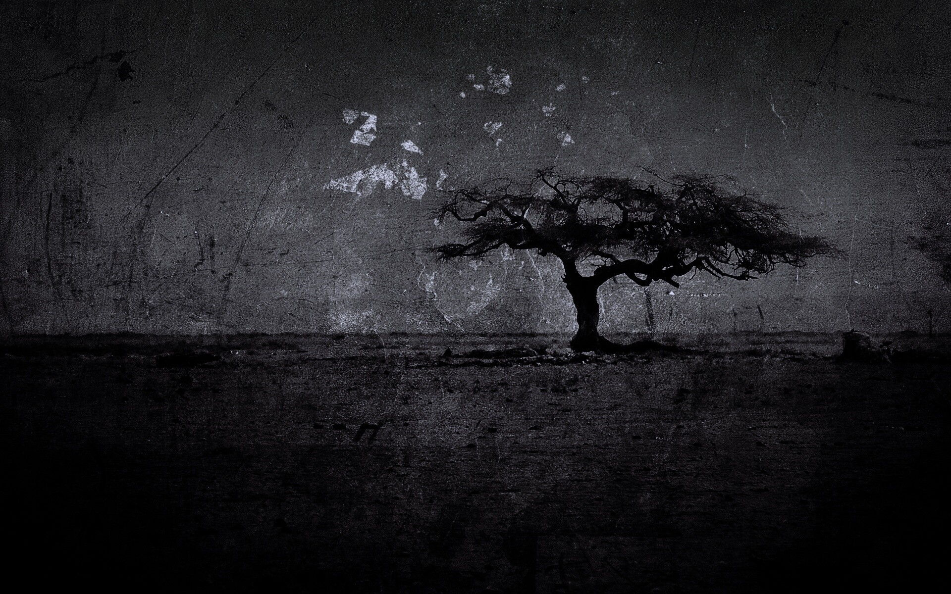 Гранжевое дерево в саванне обои