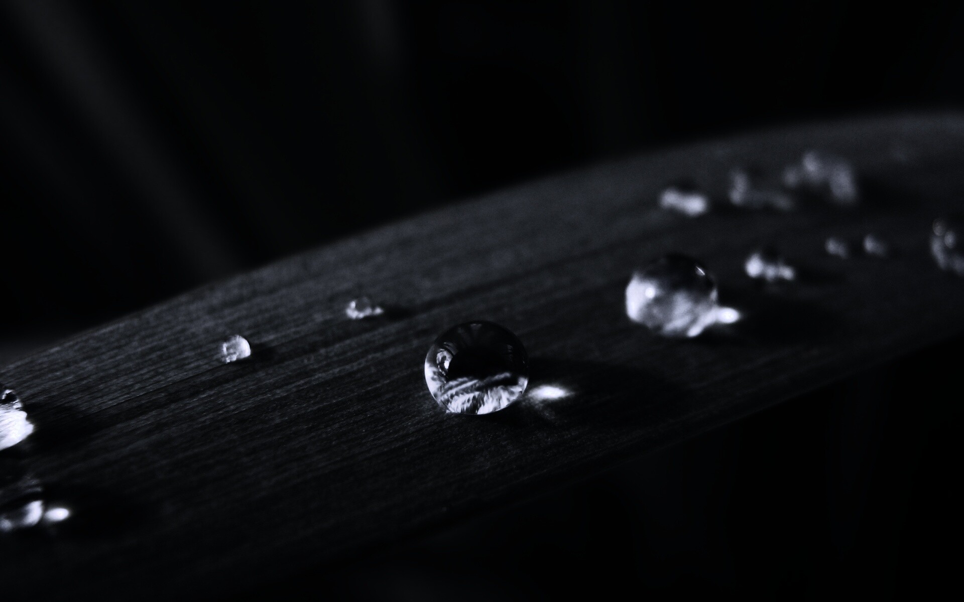 Капли росы на листе обои