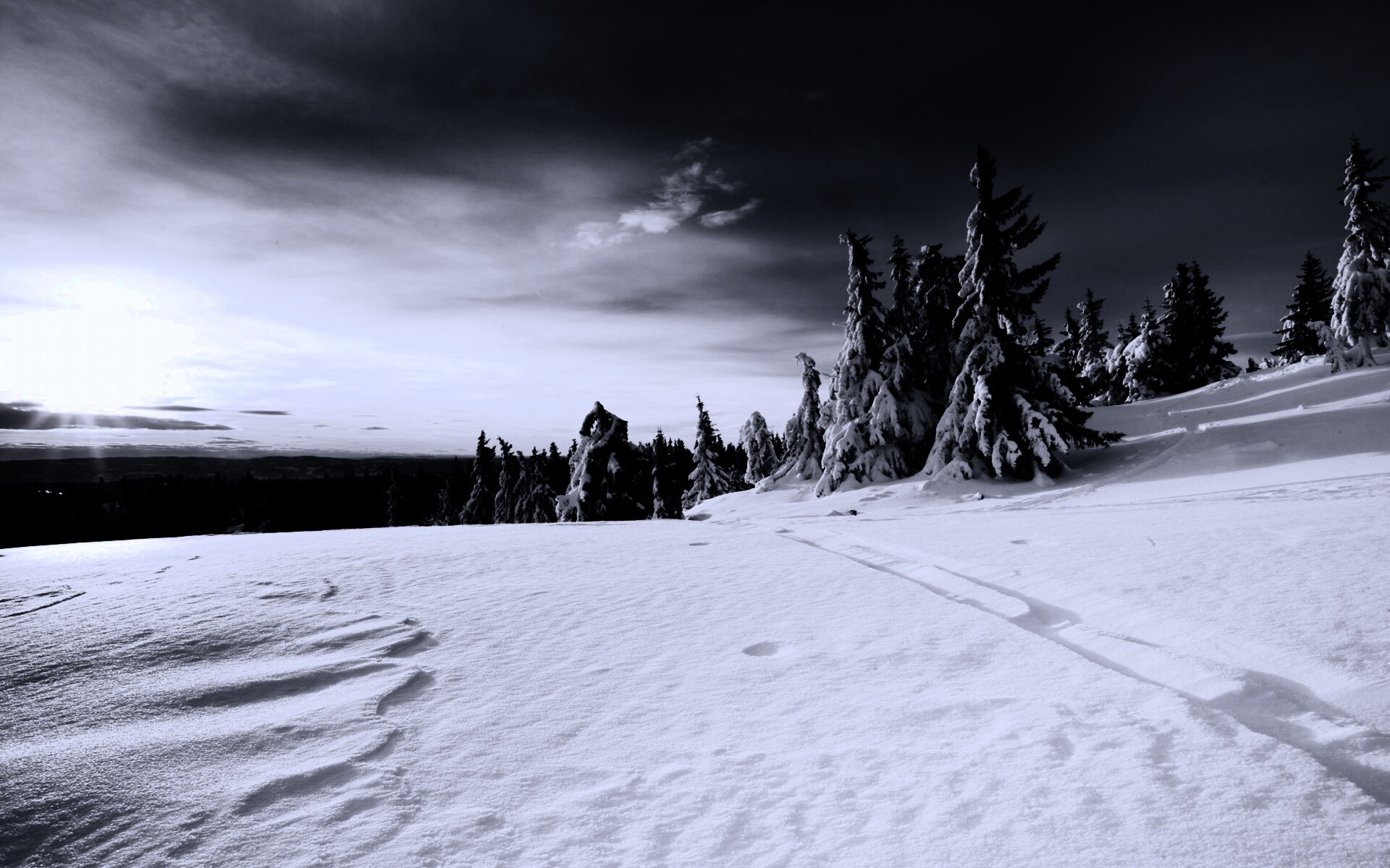 Зимние просторы обои