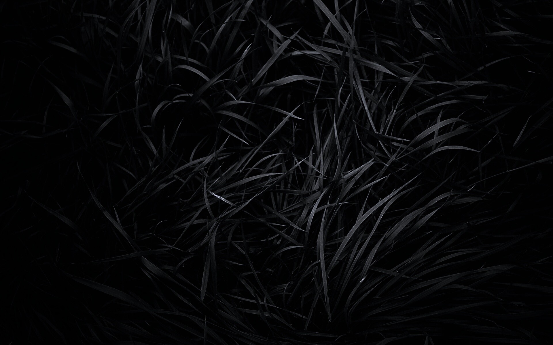 Блеклая трава обои