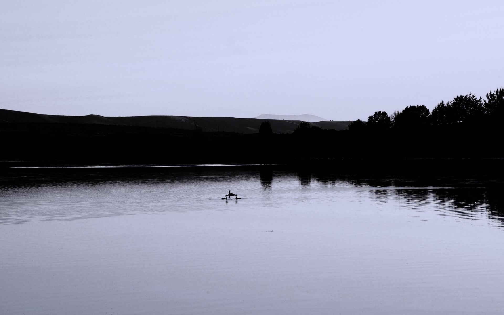 Утиное озеро обои