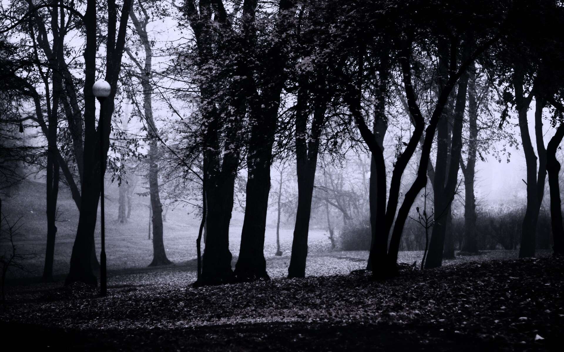 Парк красных листьев обои