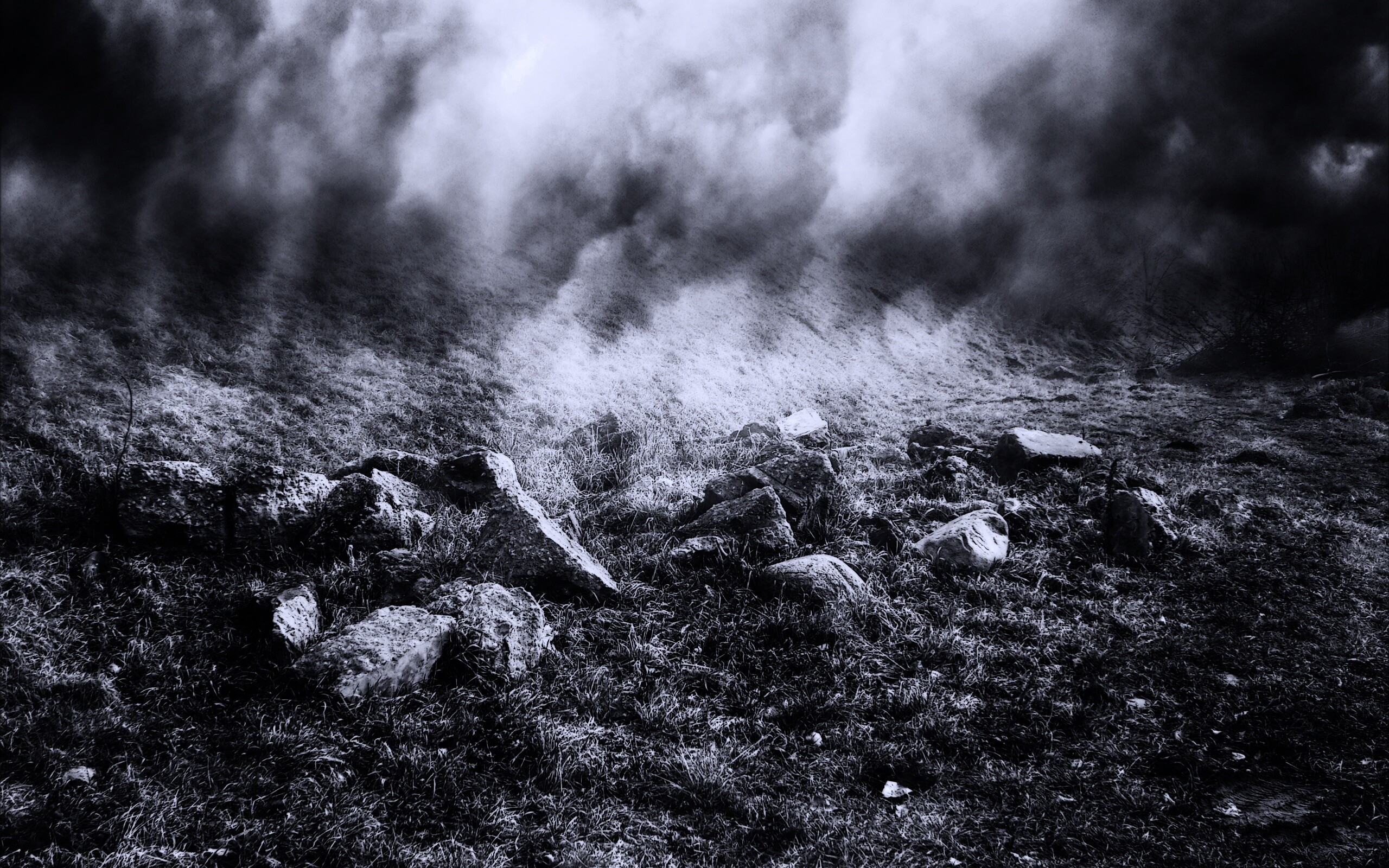 Туман на склоне обои