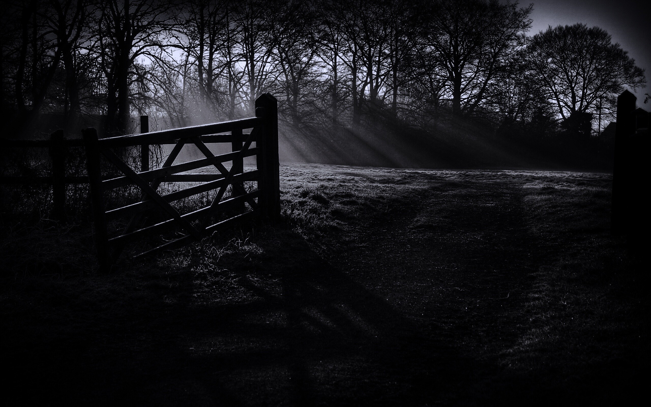 Открытые ворота обои