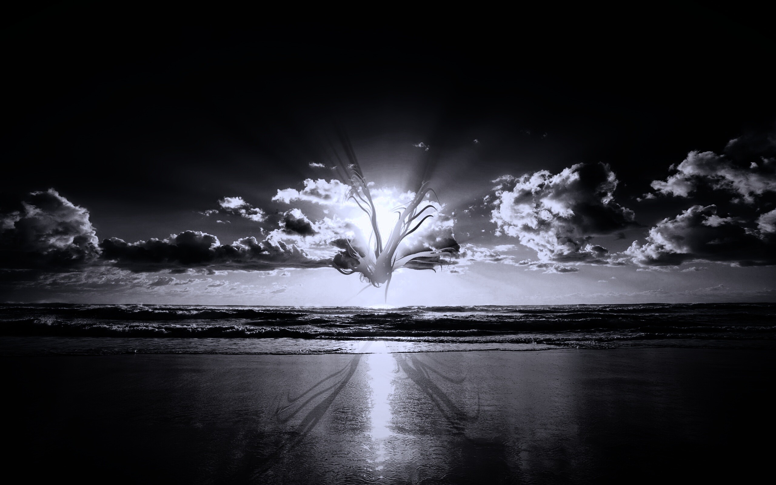 Абстрактные перья на фоне заката обои