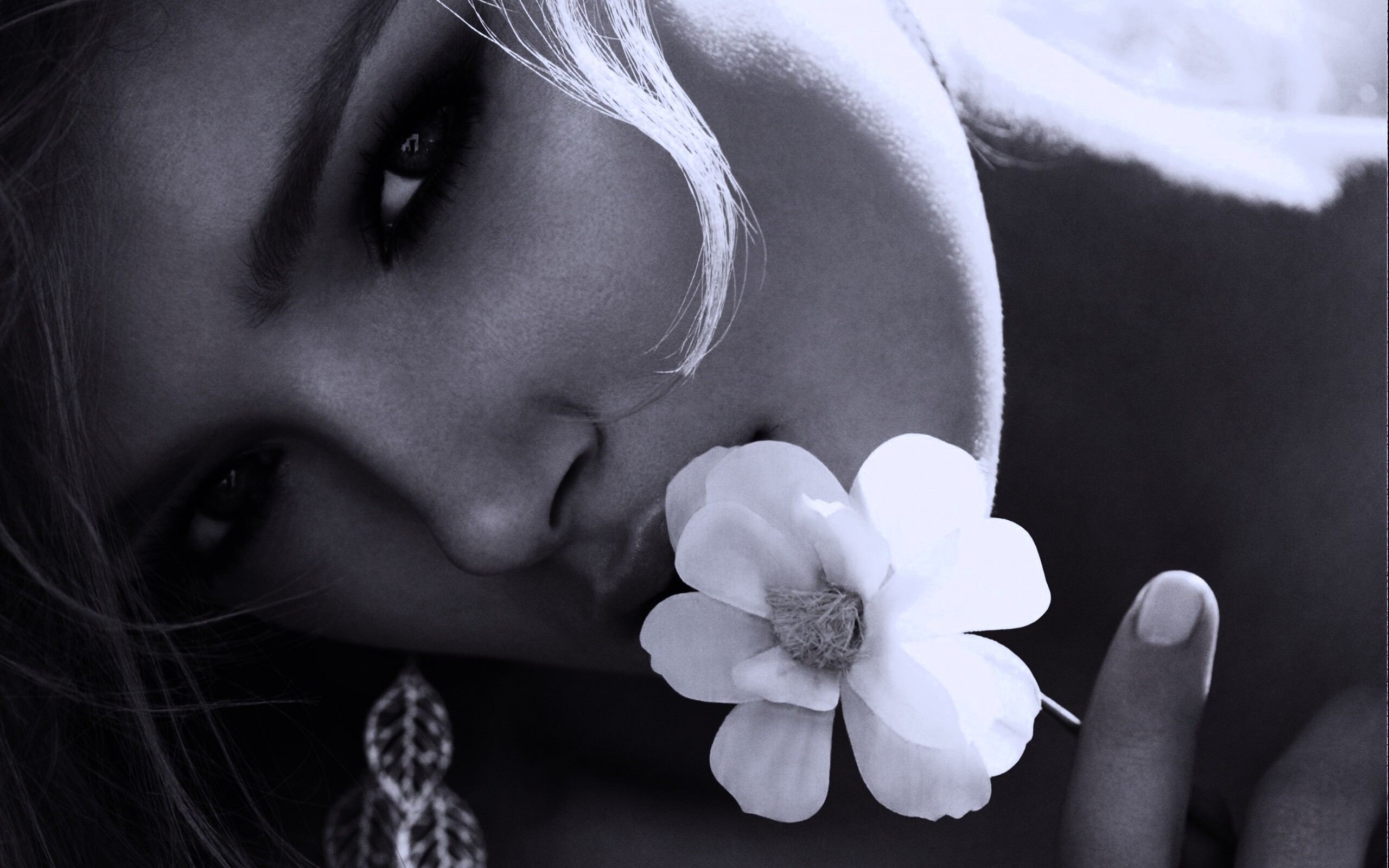 Красавица с белым цветком обои