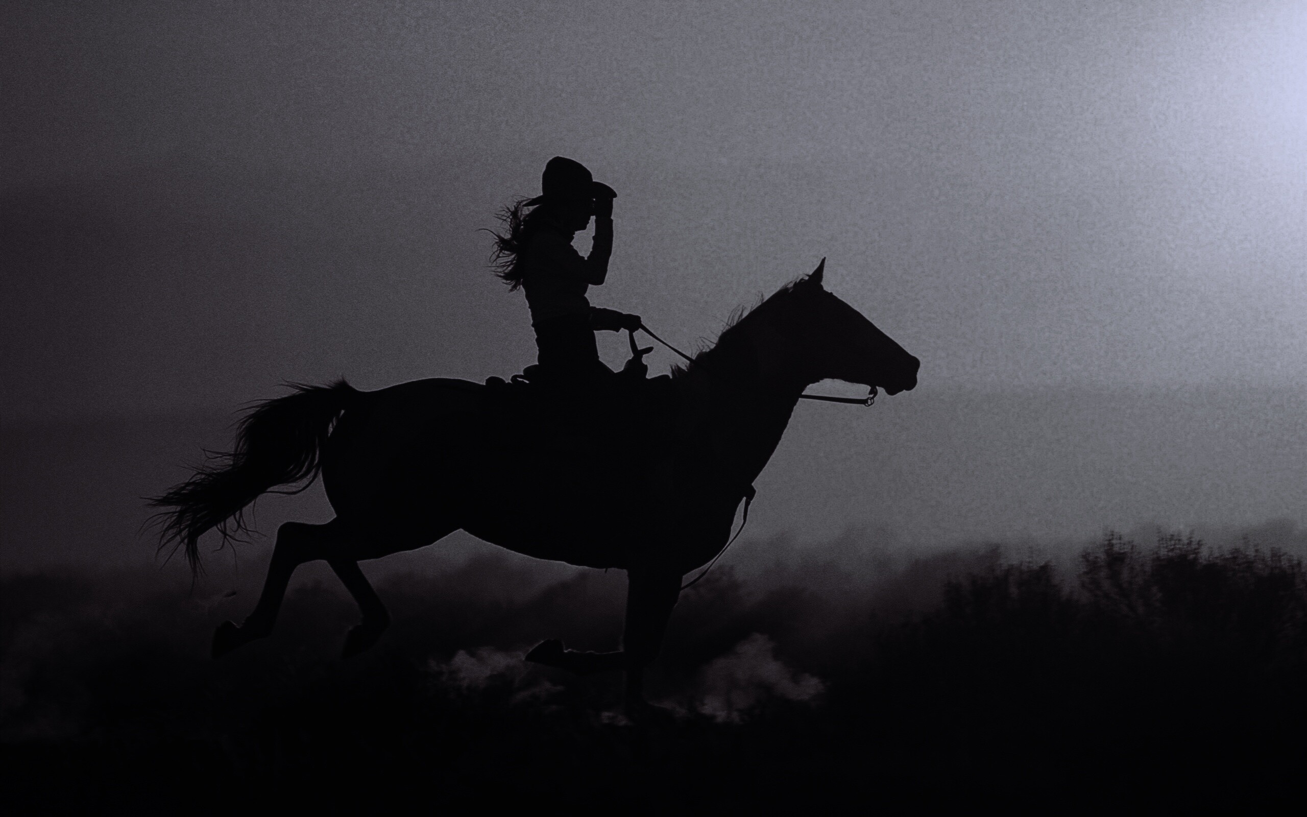 Наездница на закате обои