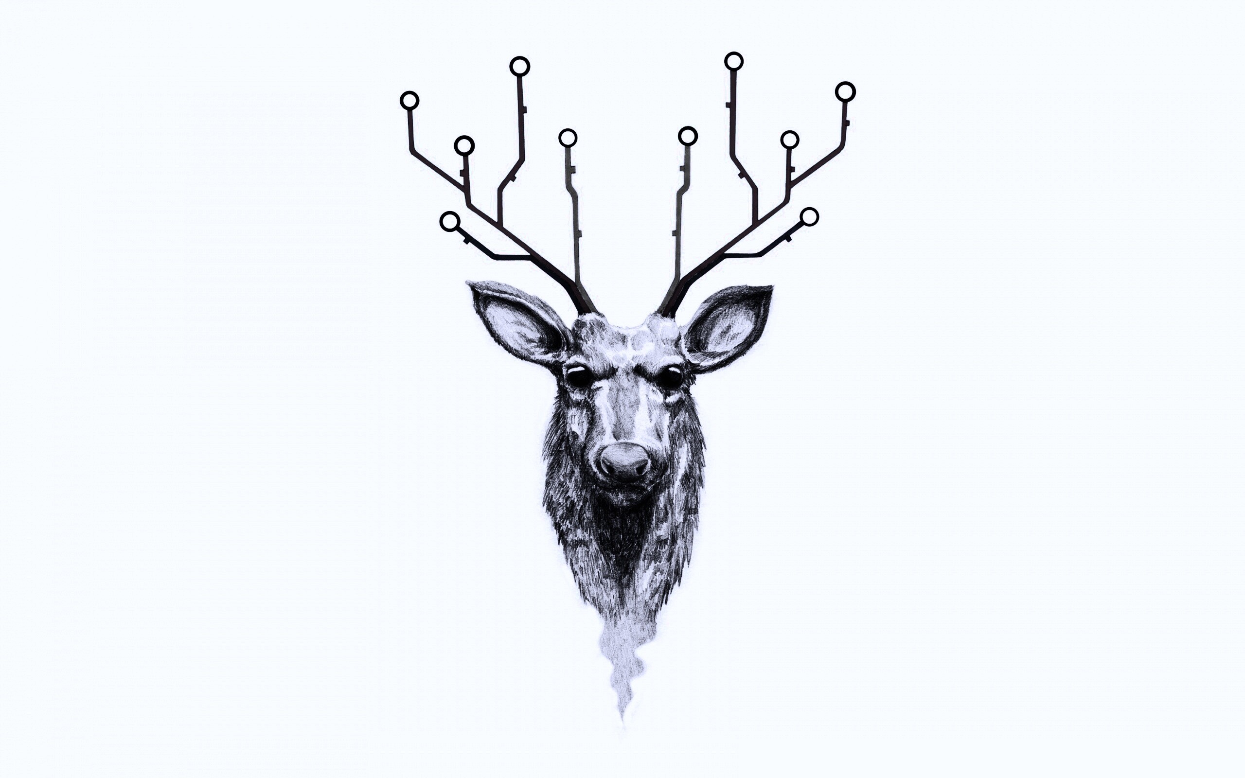 Схематичный олень обои