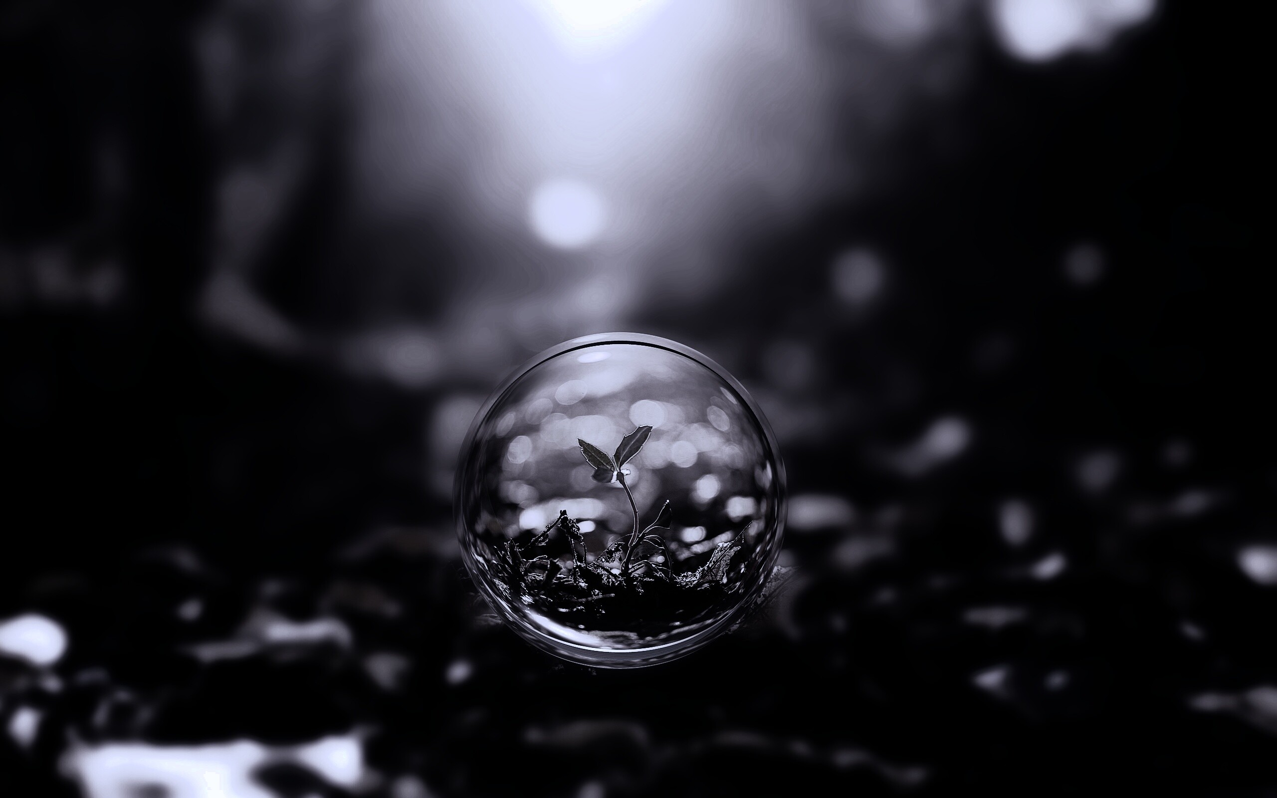 Росток в пузыре обои