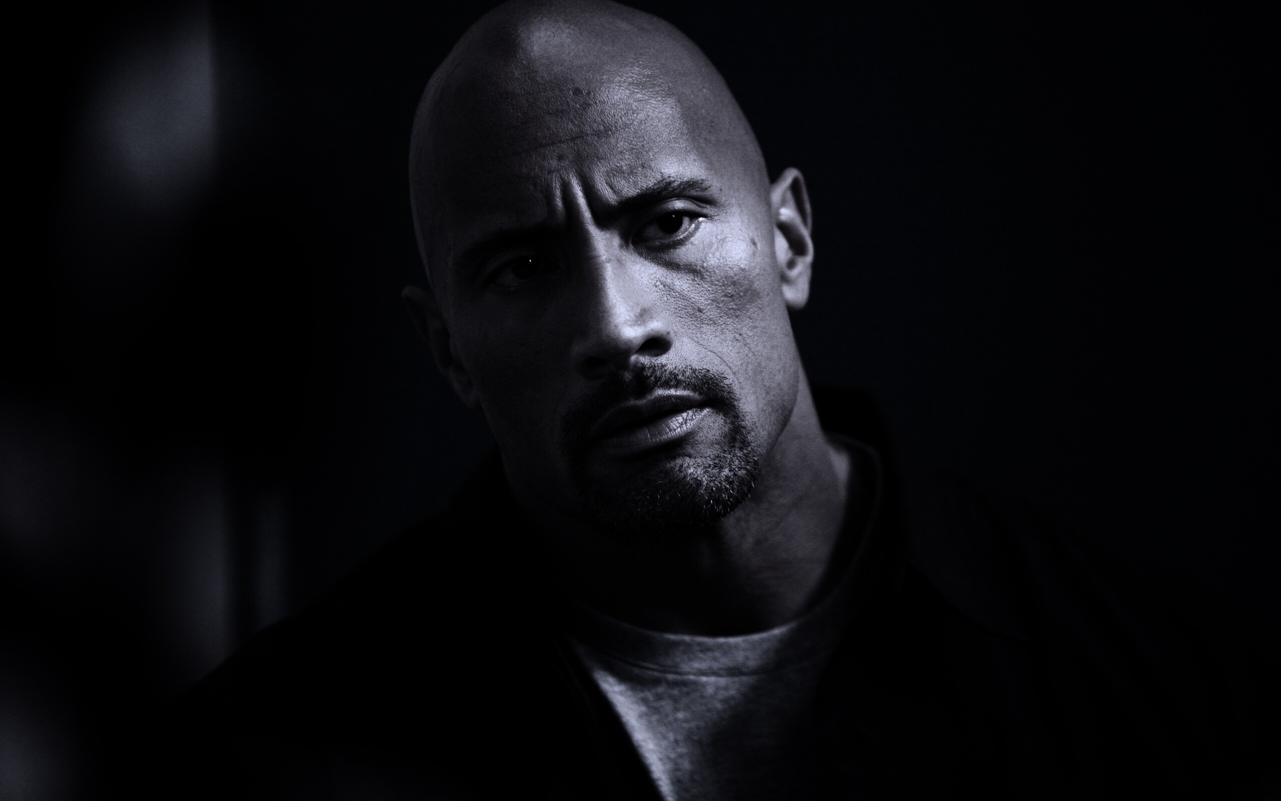Dwayne johnson, Actor, Bald, Hair, Celebrity обои