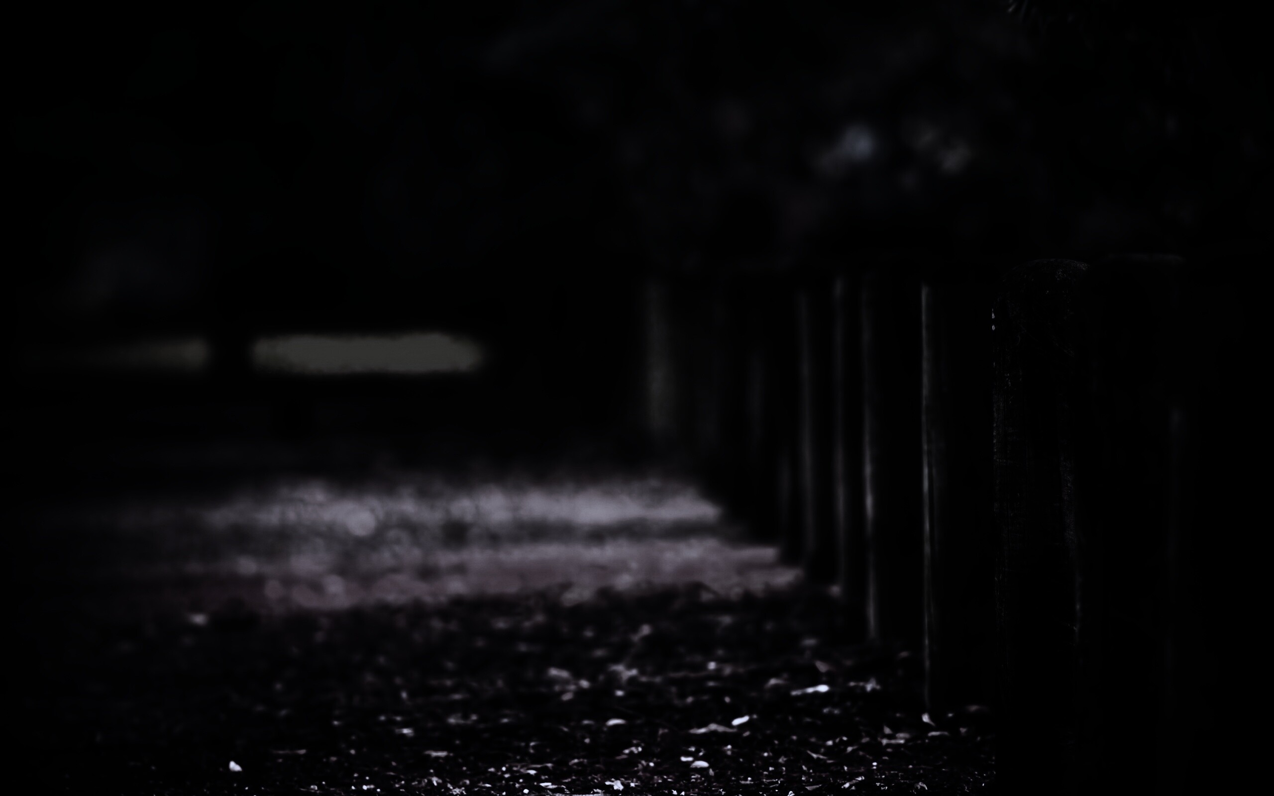 Аллея усеянная листвой обои