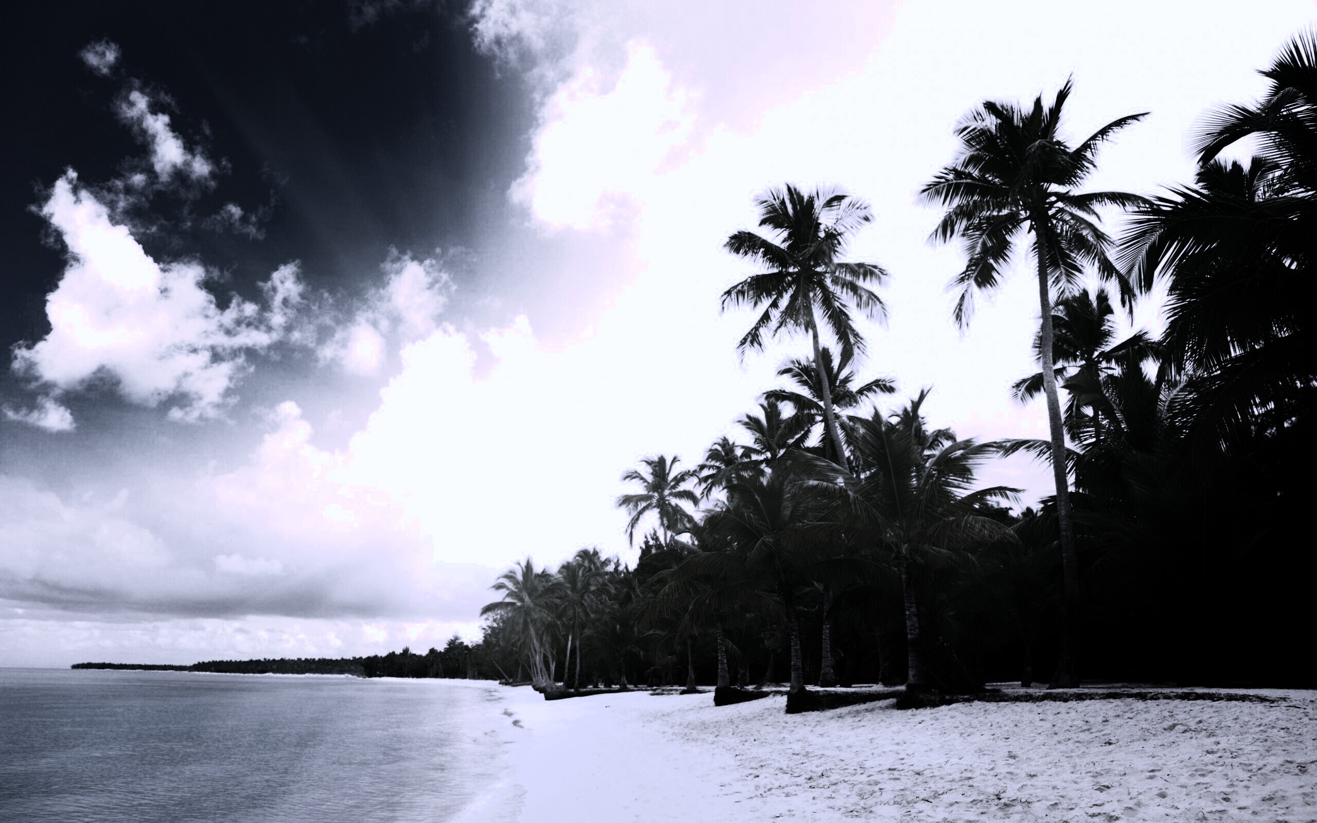 Тропическое побережье обои