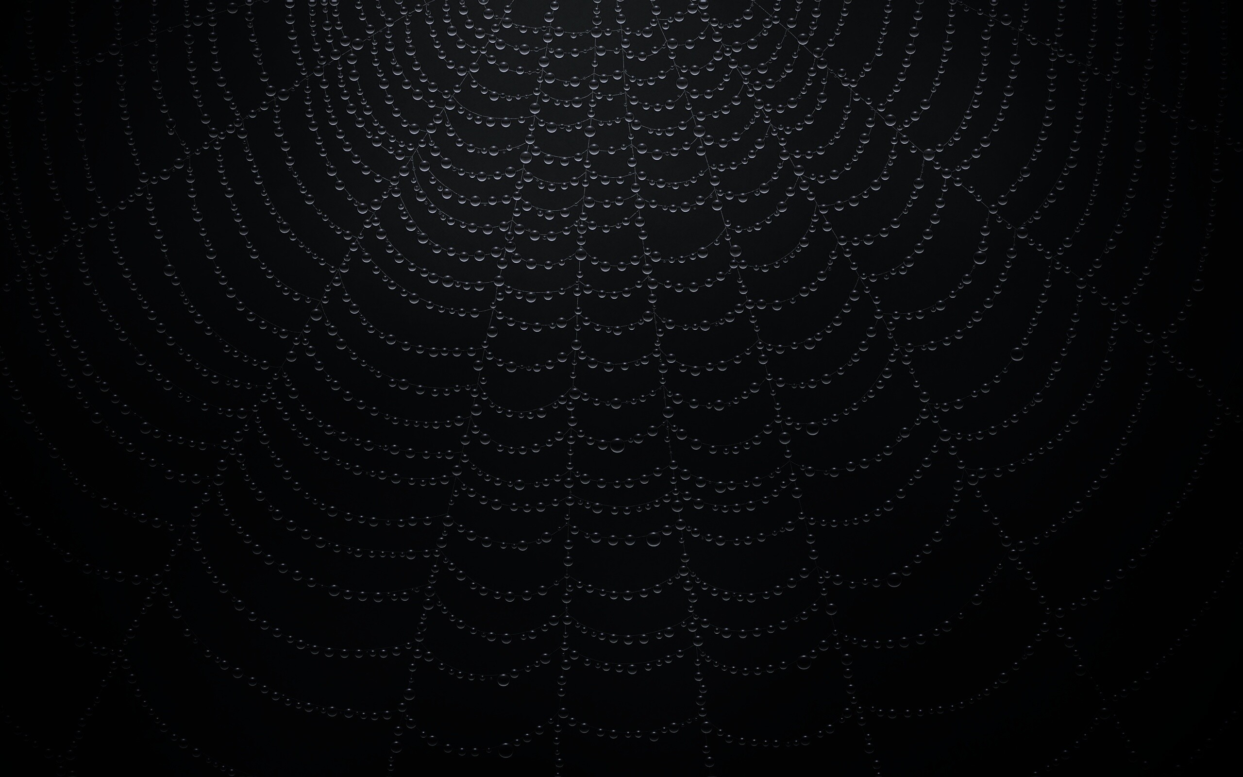 Роса на паутине обои