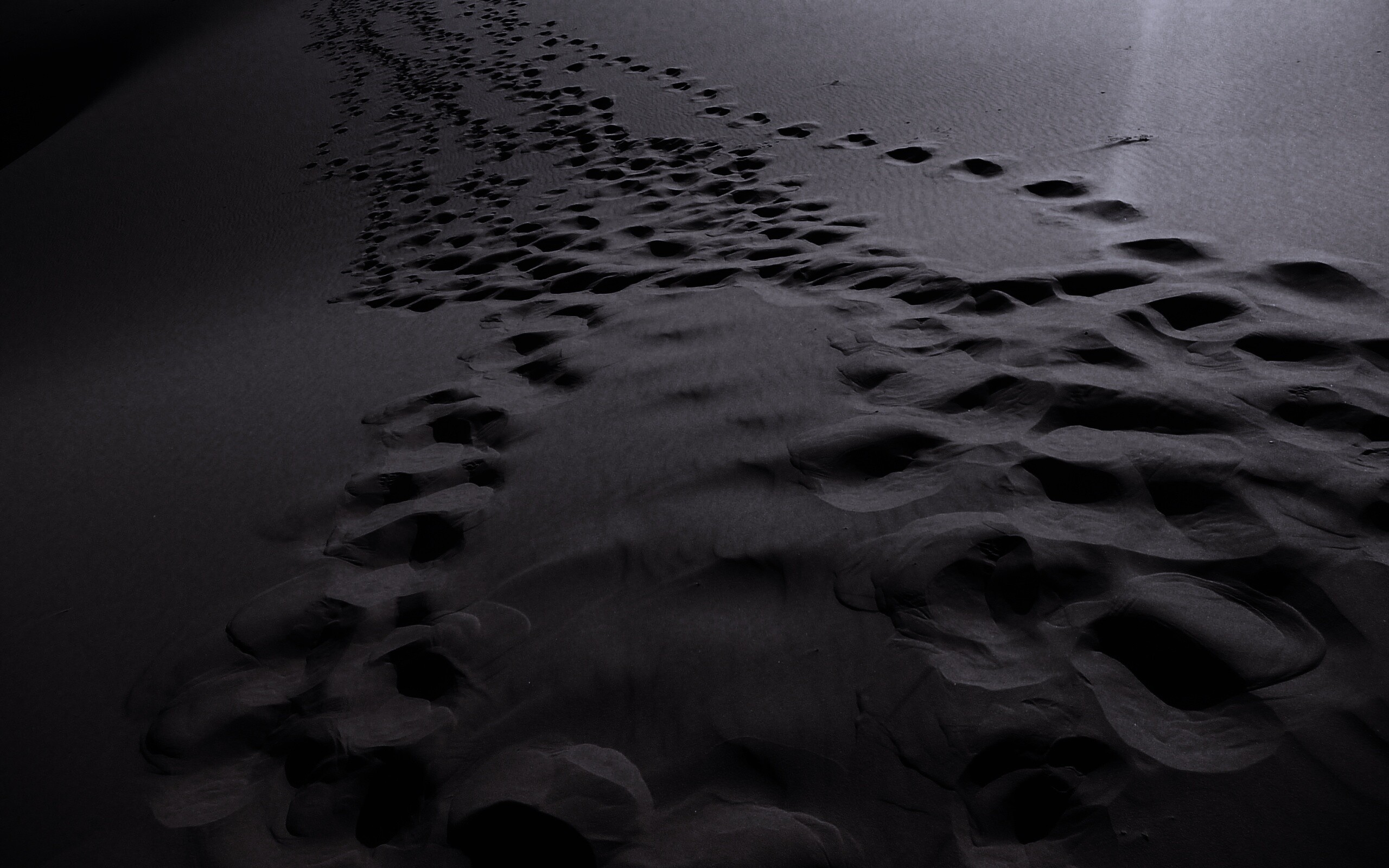 Следы в пустыне обои