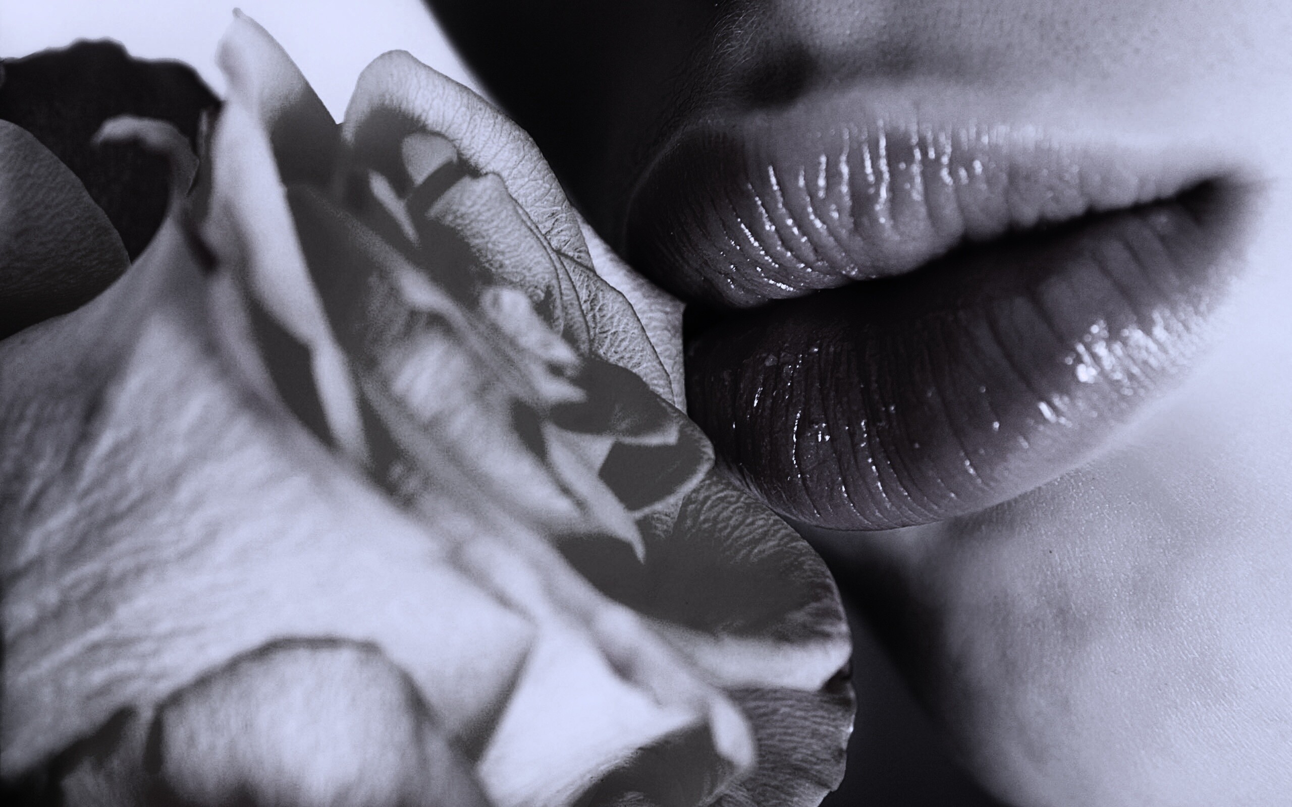 Губы девушки и роза обои