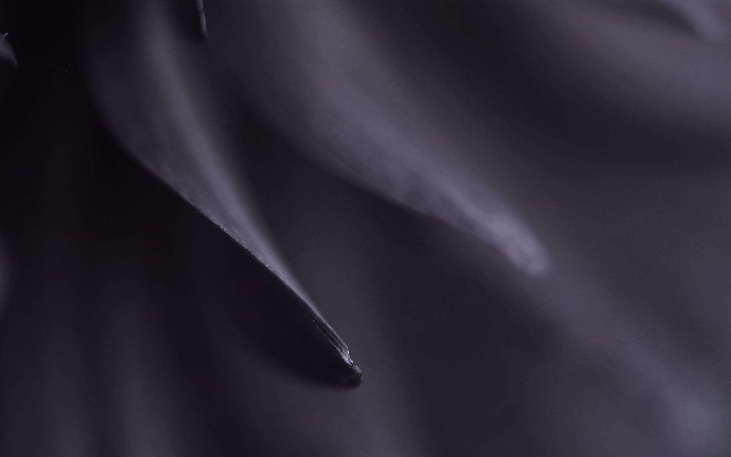 Розовые лепестки обои