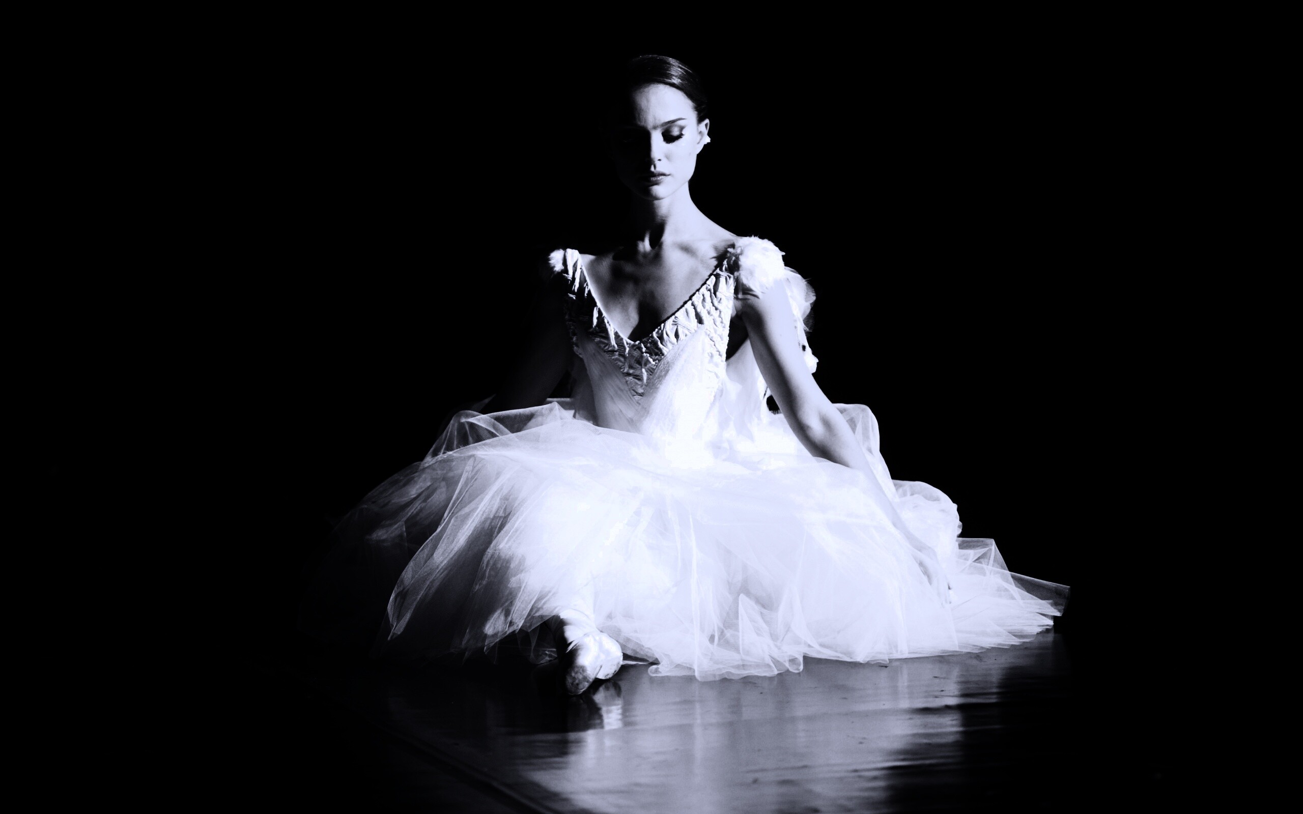 Черный лебедь обои