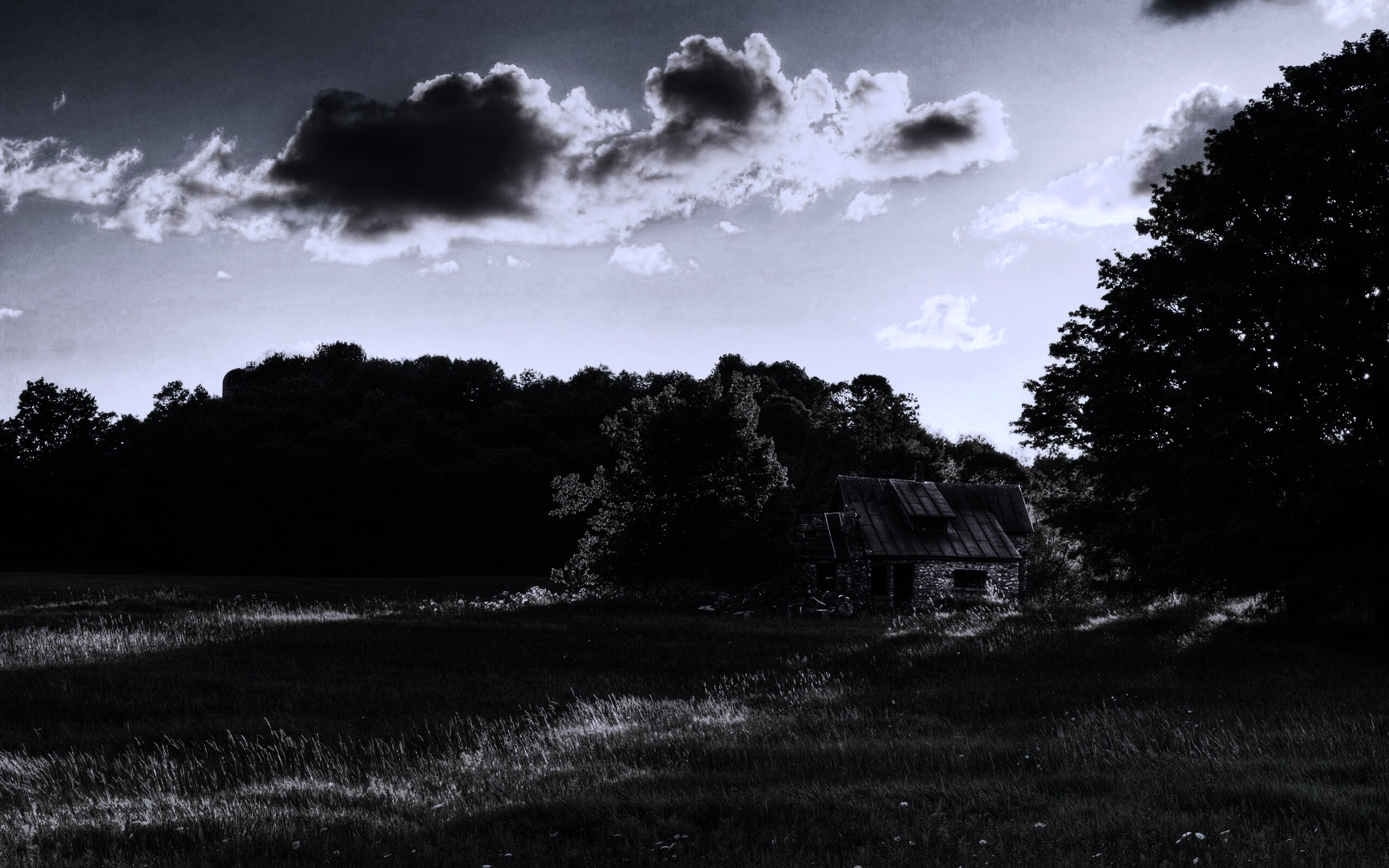 Домик в лесу обои