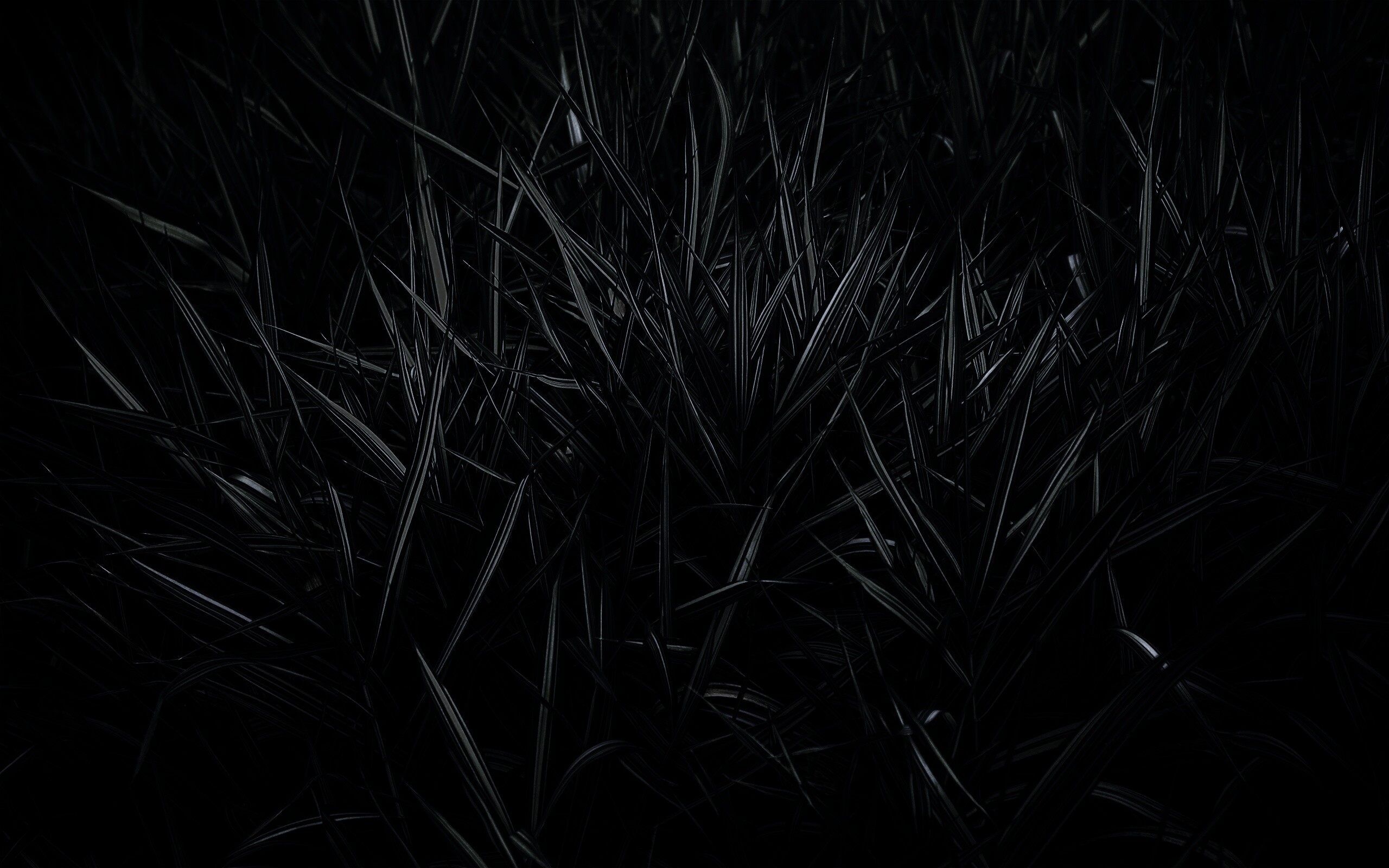 Дикая трава обои